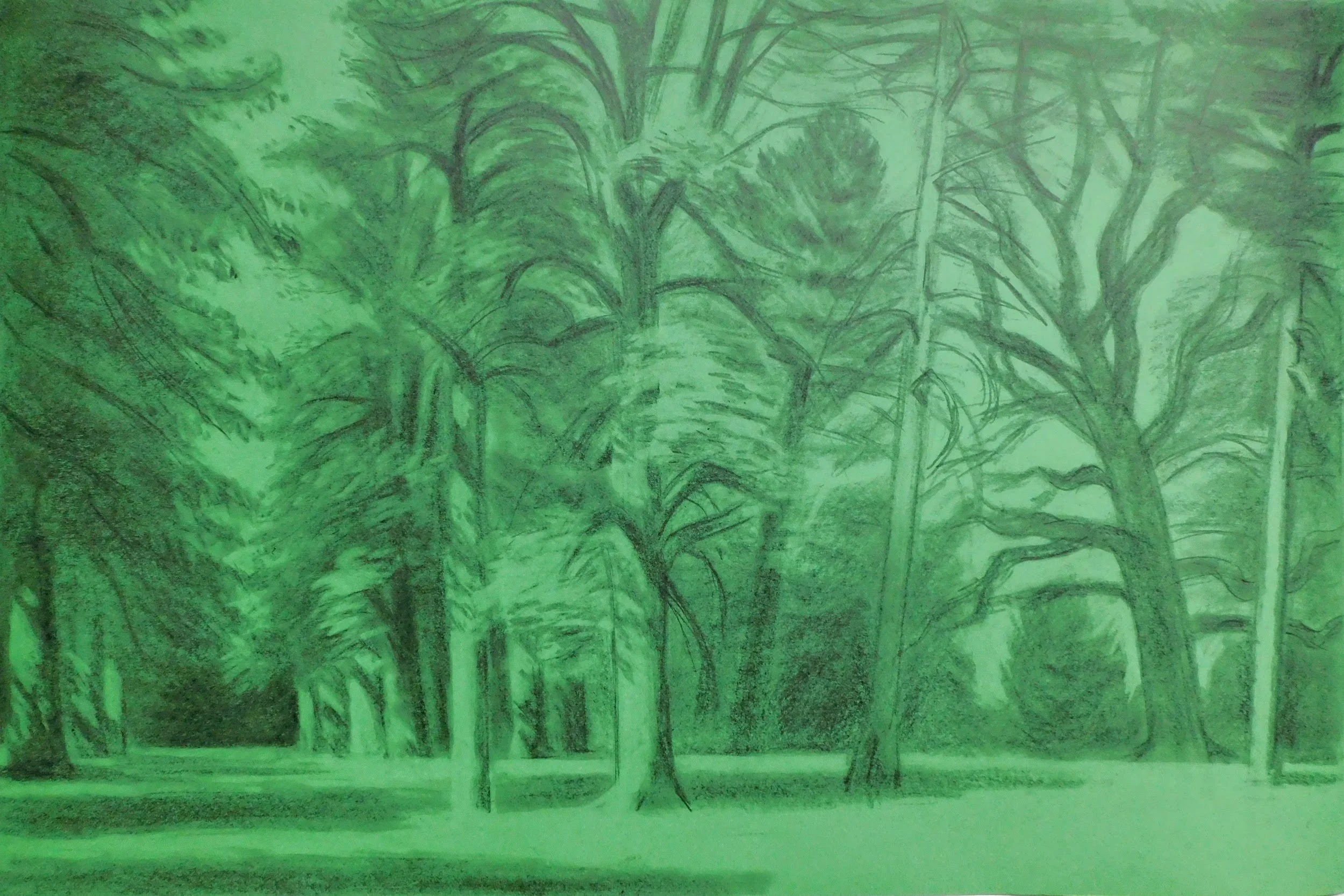 cheesman-park-plein-air-painting-drawing-trees-denver-colorado-micah-shull-art
