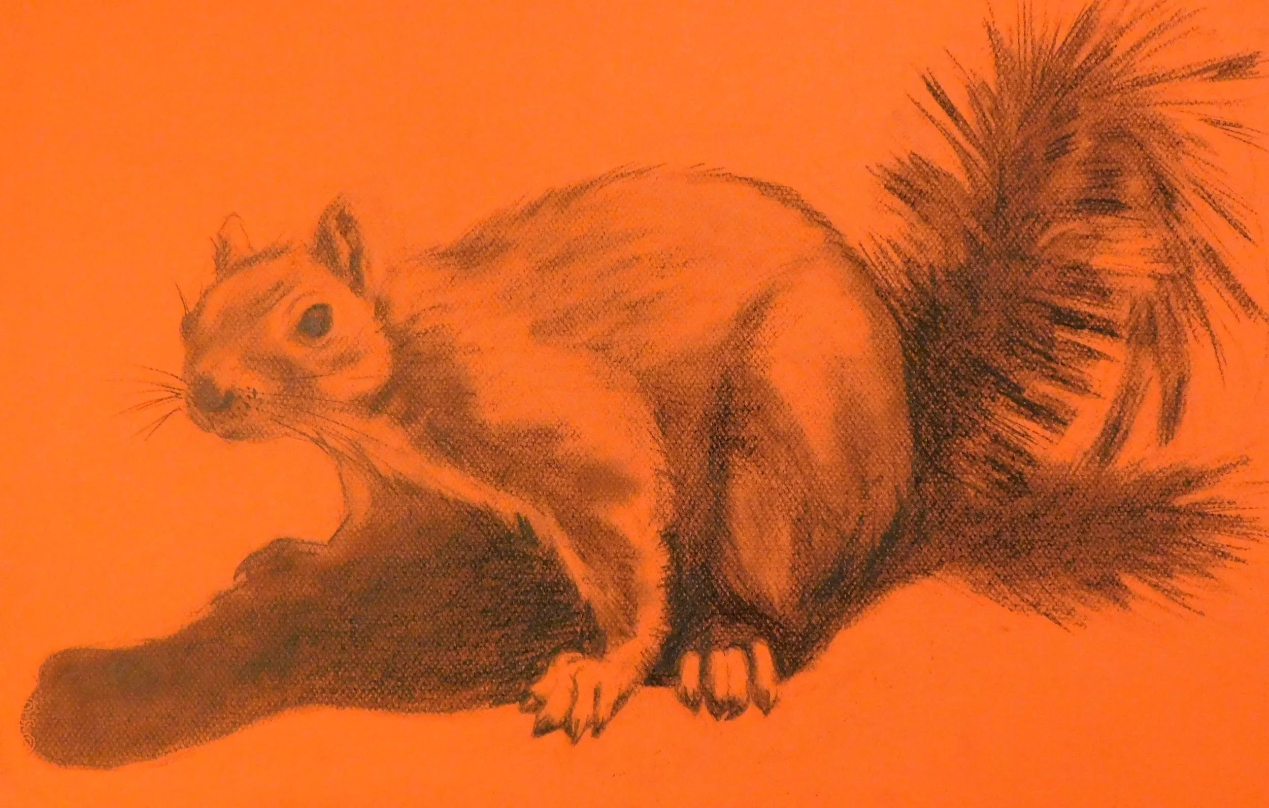 cheemanpark-plein-air-painting-drawing-trees-denver-colorado-micah-shull-art-squirrel