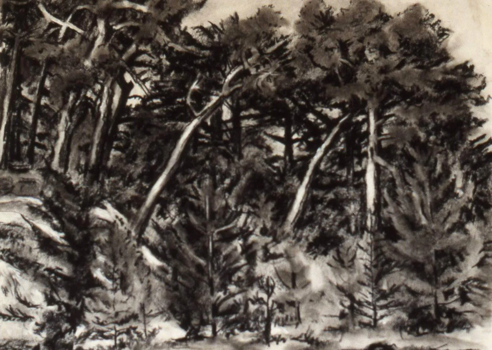 san-francisco-plein-air-drawing-painting-micah-shull-art