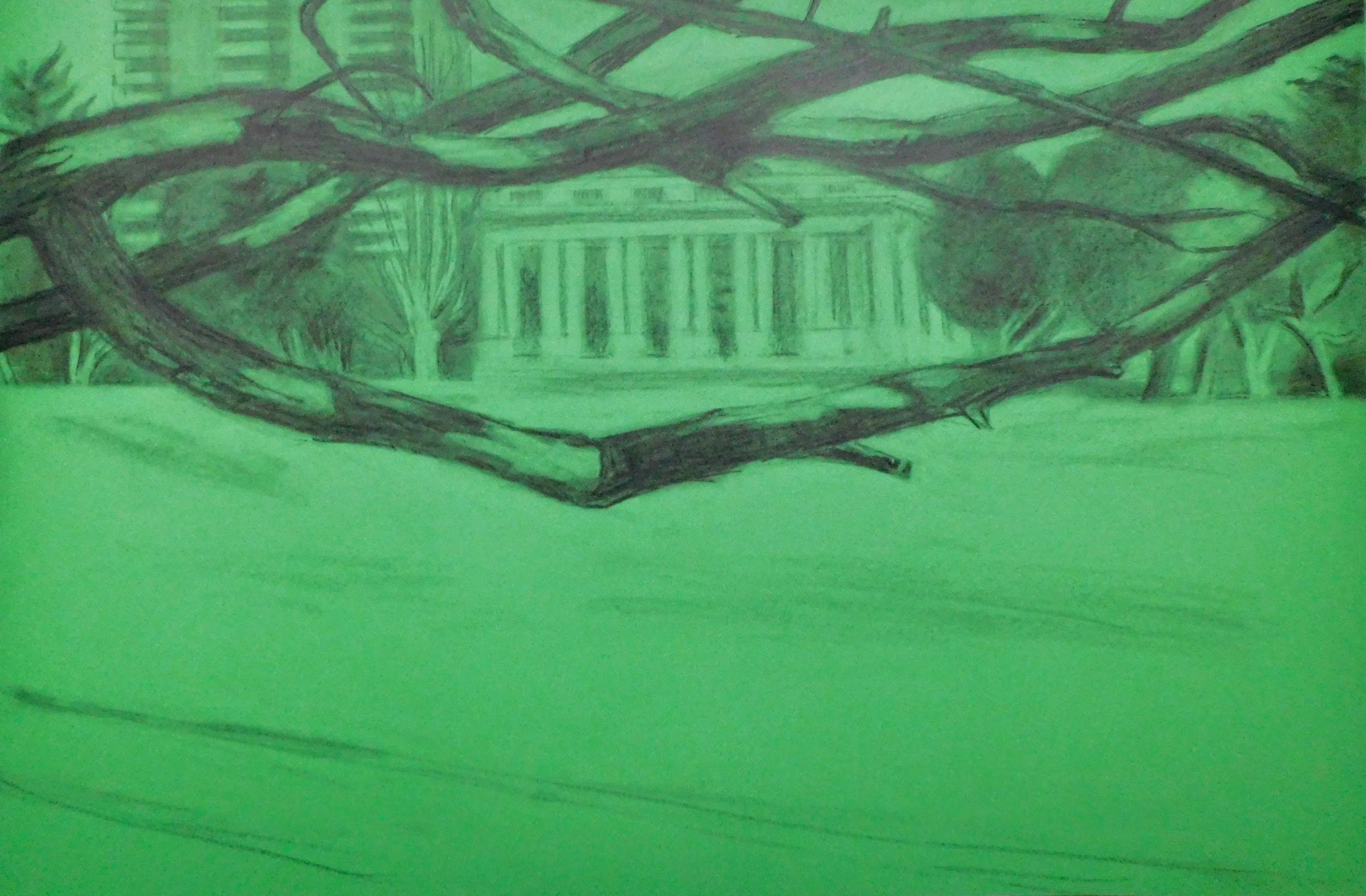 cheesman-park-plein-air-painting-drawing-trees-denver-colorado-micah-shull-art