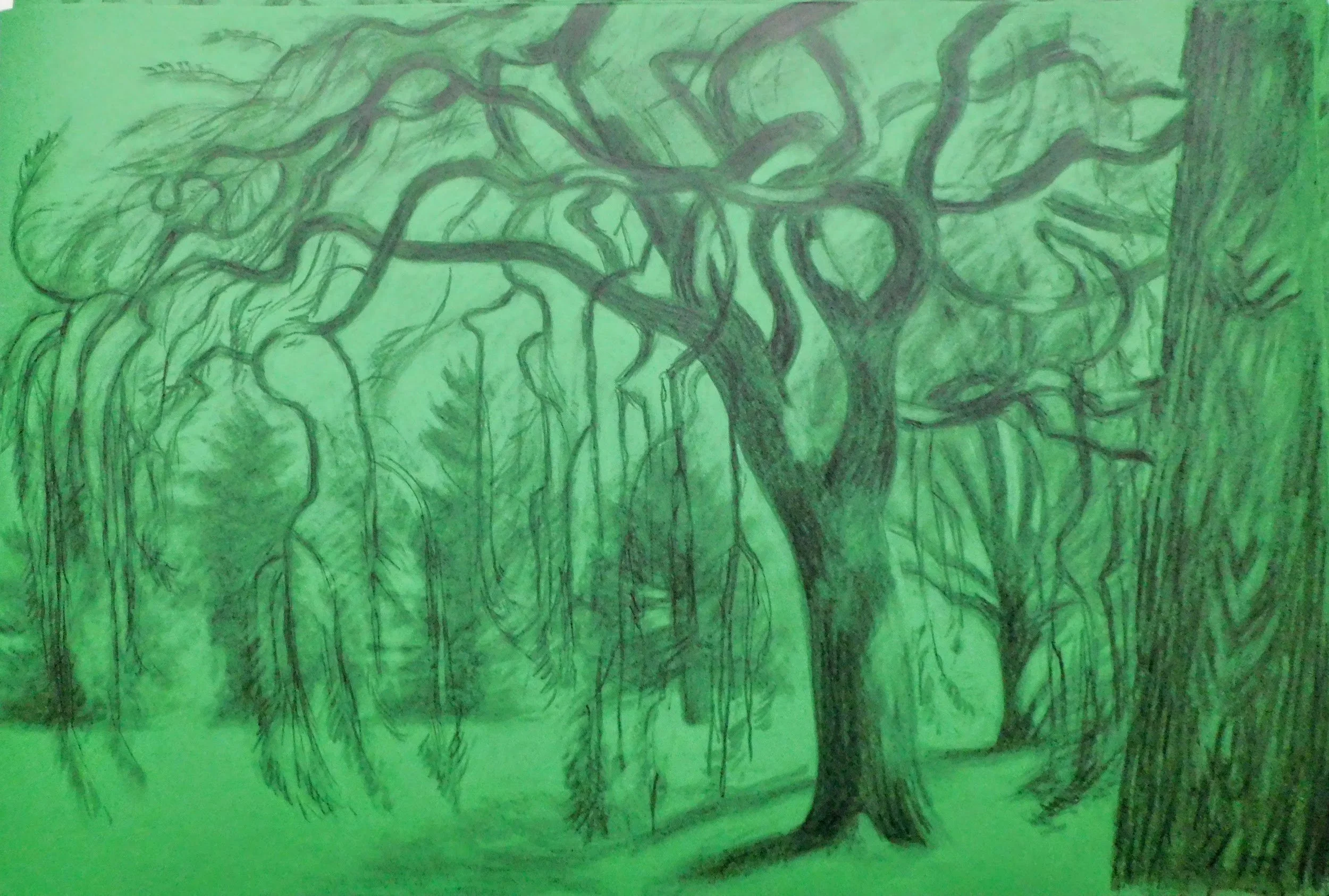 cheesman-park-plein-air-painting-drawing-trees-denver-colorado-micah-shull-art