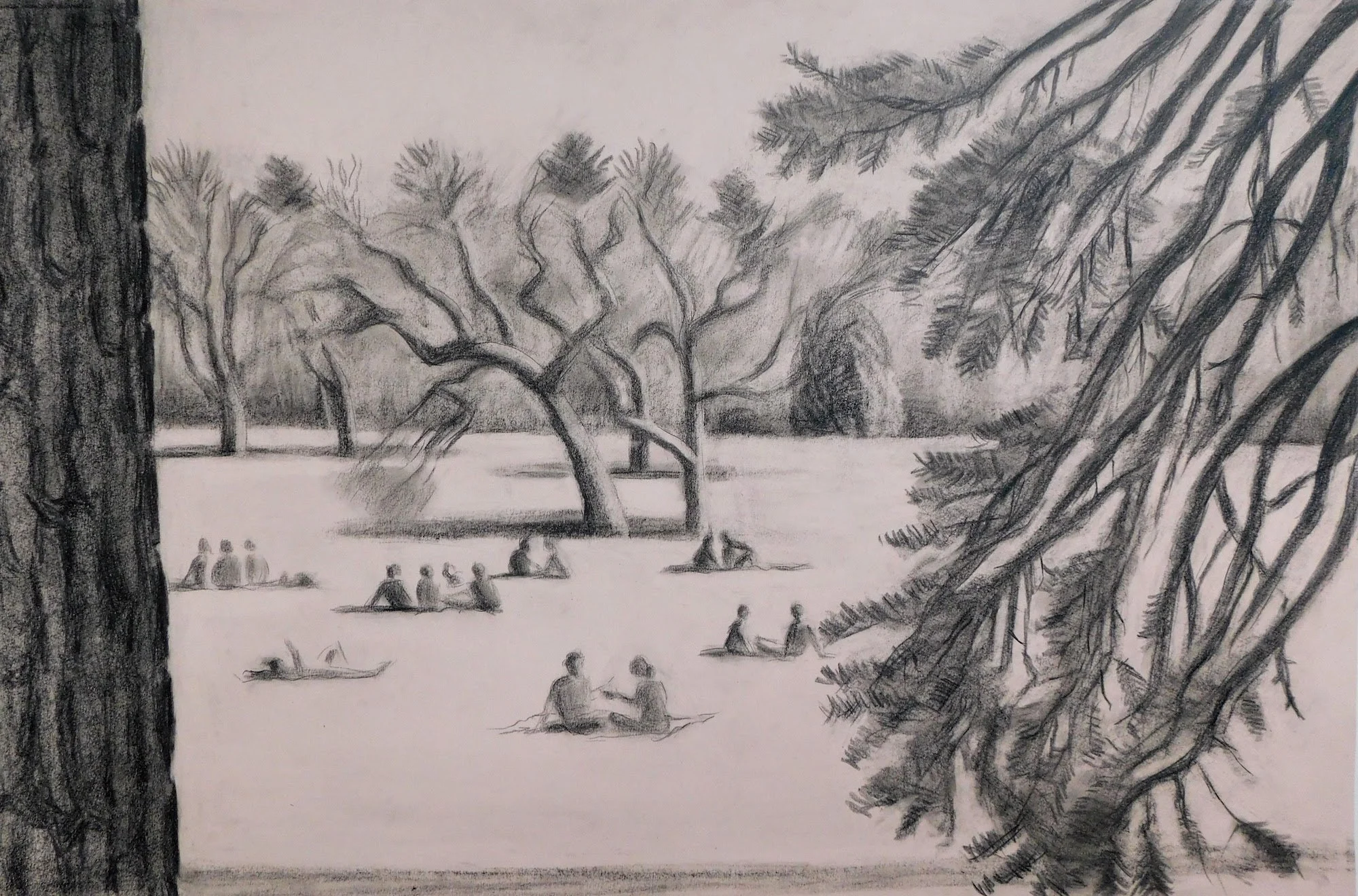 cheesman-park-plein-air-painting-drawing-trees-denver-colorado-micah-shull-art