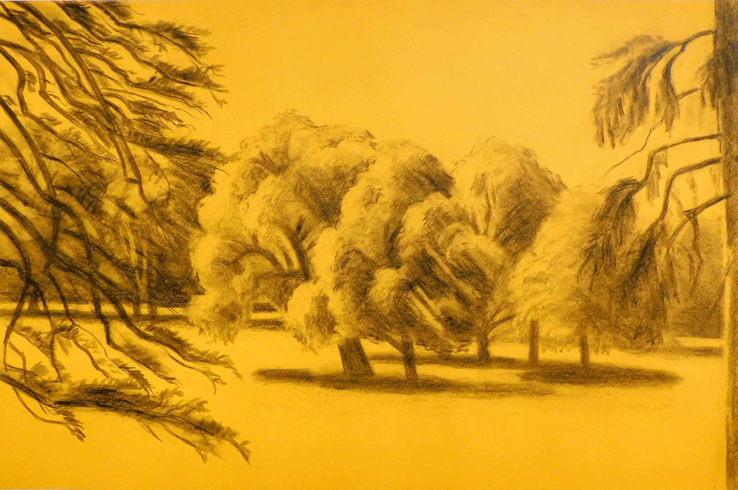 cheesman-park-plein-air-painting-drawing-trees-denver-colorado-micah-shull-art