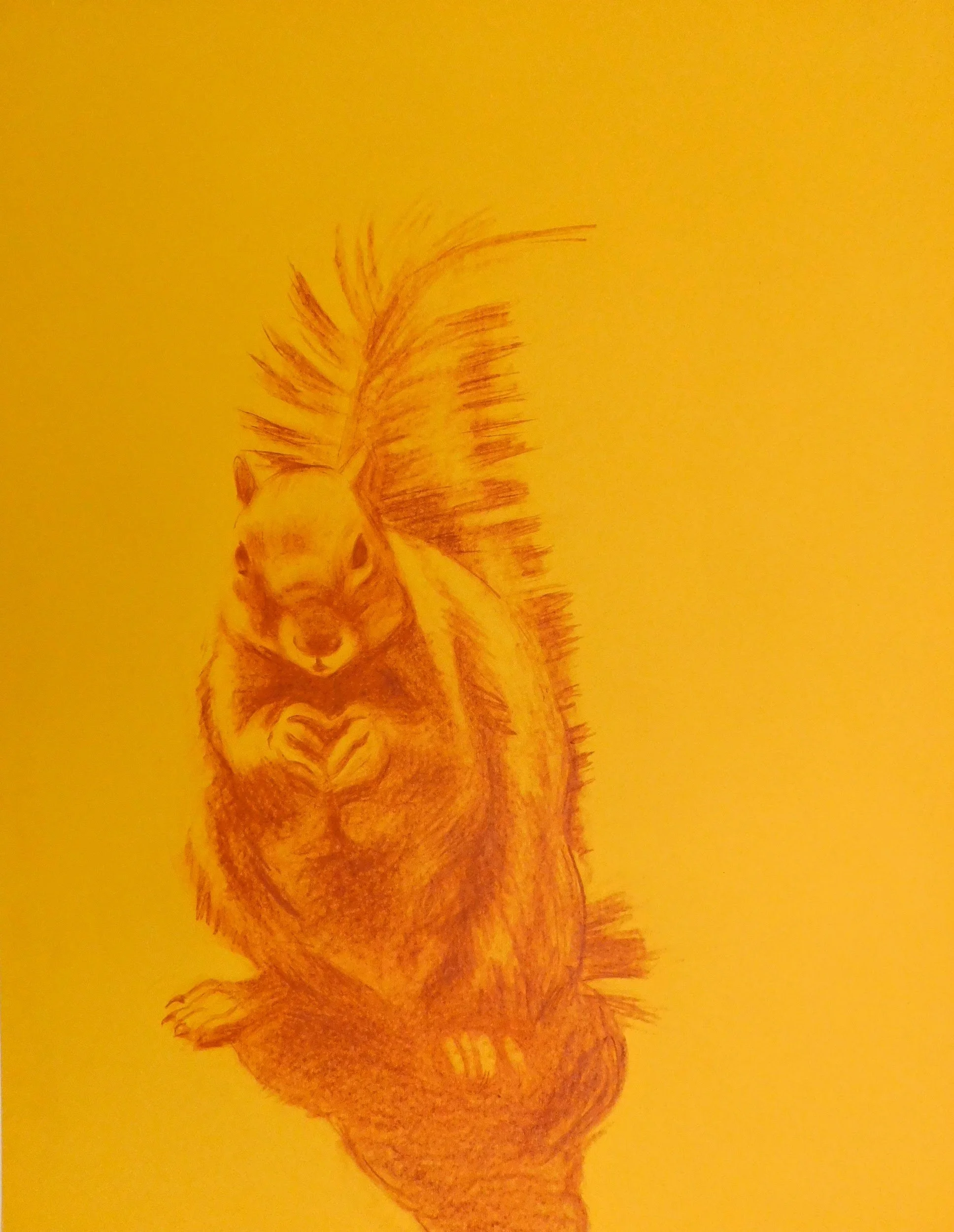 cheesman-park-squirrel-drawing-painting-denver-coloradoart-micah-shull-art-squirrel