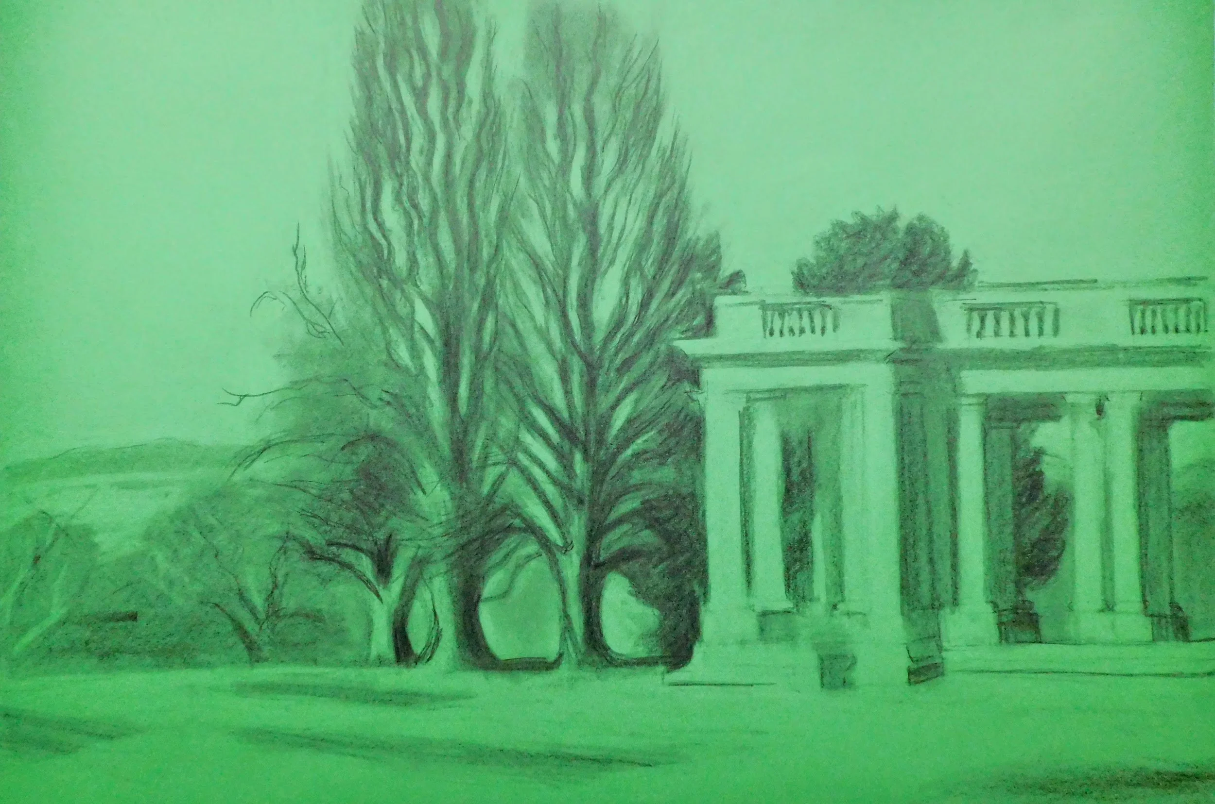 cheesman-park-plein-air-painting-drawing-trees-denver-colorado-micah-shull-art