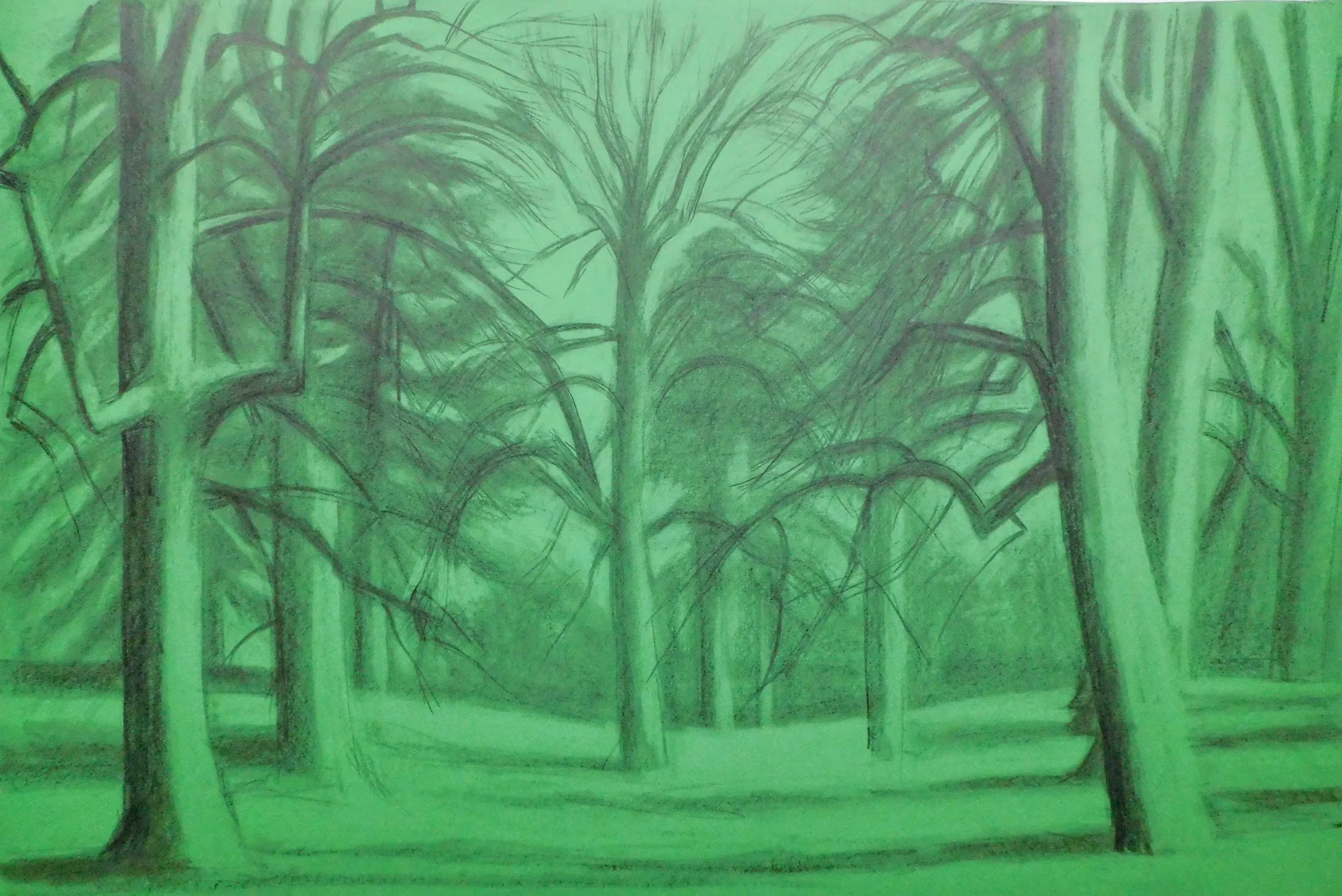 cheesman-park-plein-air-painting-drawing-trees-denver-colorado-micah-shull-art