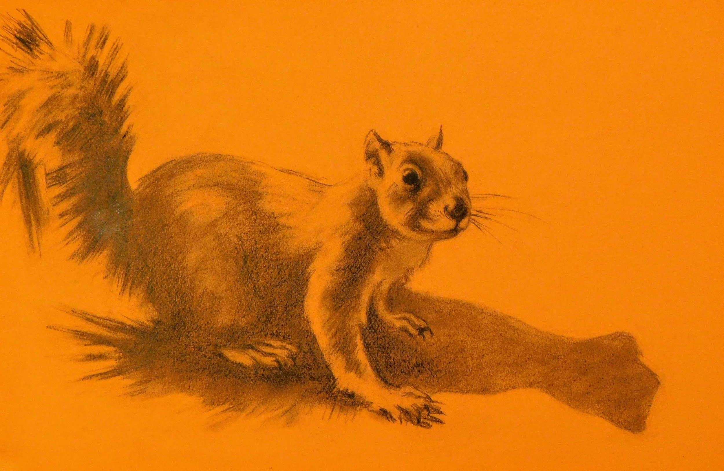 cheesman-park-plein-air-painting-drawing-trees-denver-colorado-micah-shull-art-squirrel