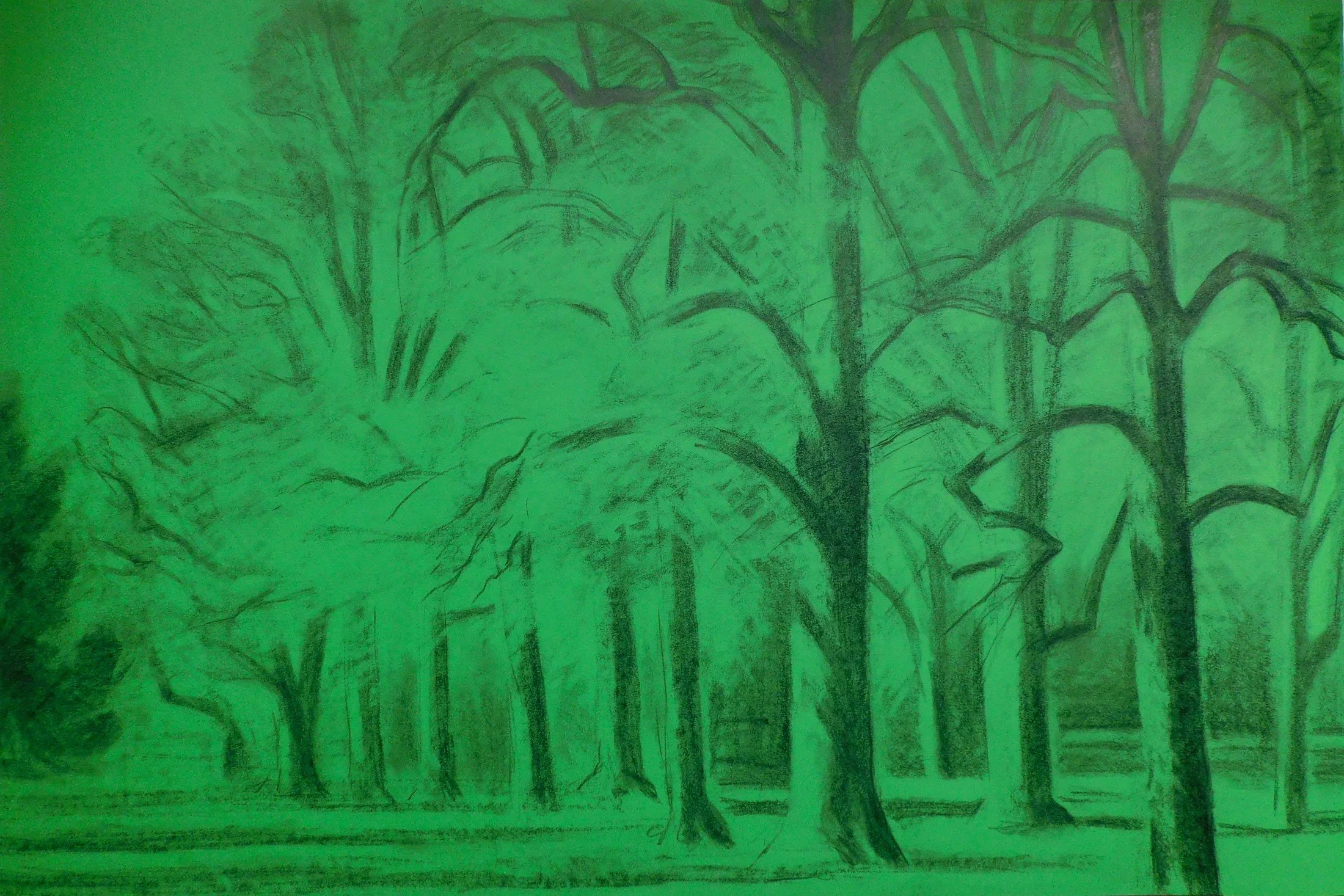 cheesman-park-plein-air-painting-drawing-trees-denver-colorado-micah-shull-art