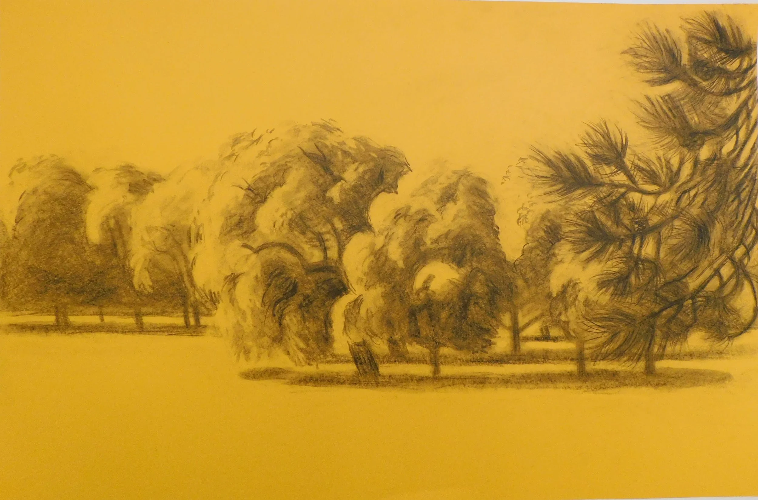 cheesman-park-plein-air-painting-drawing-trees-denver-colorado-micah-shull-art