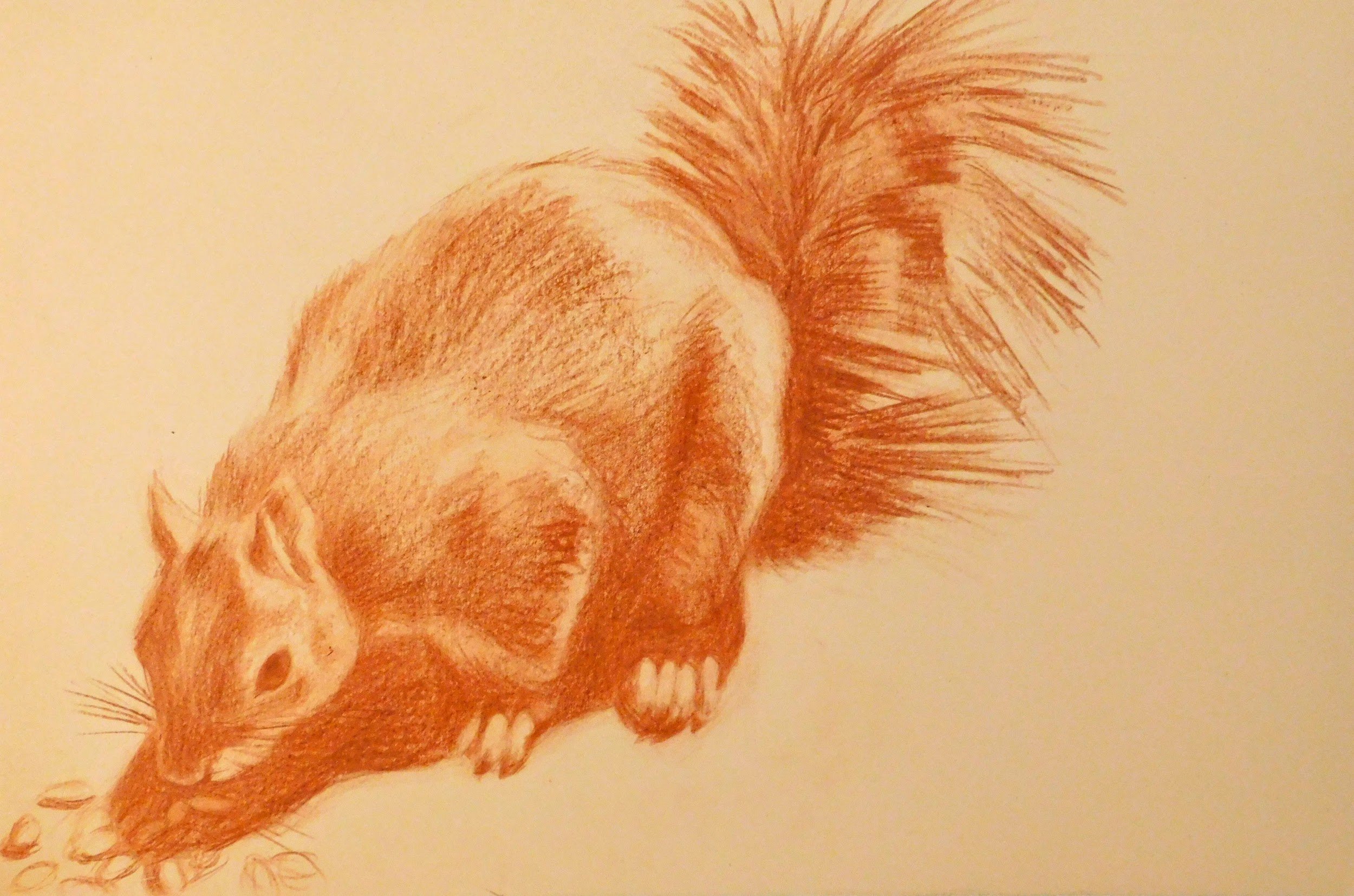 cheesman-park-plein-air-painting-drawing-trees-denver-colorado-micah-shull-art-squirrel