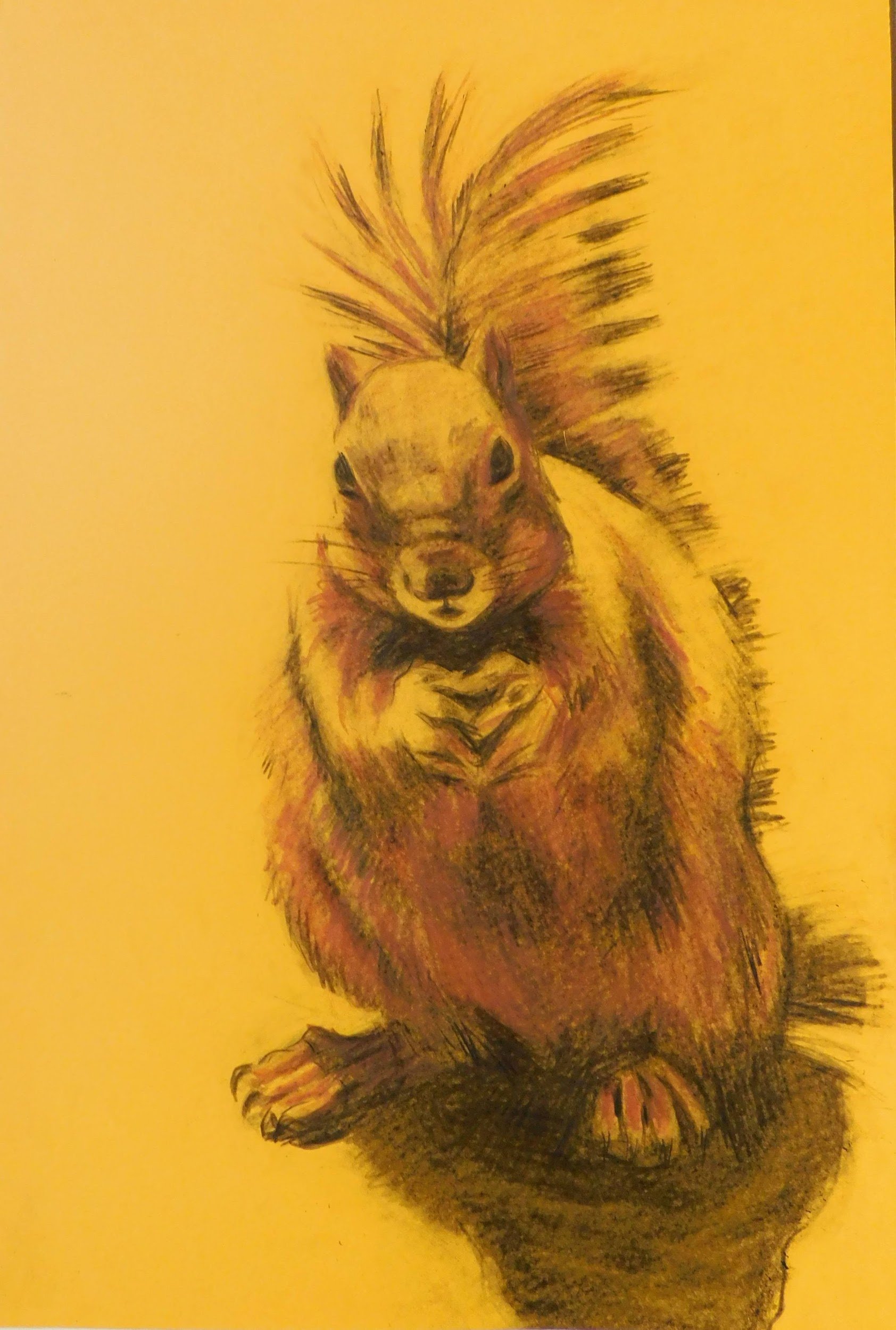 cheesman-park-plein-air-painting-drawing-trees-denver-colorado-micah-shull-art-squirrel