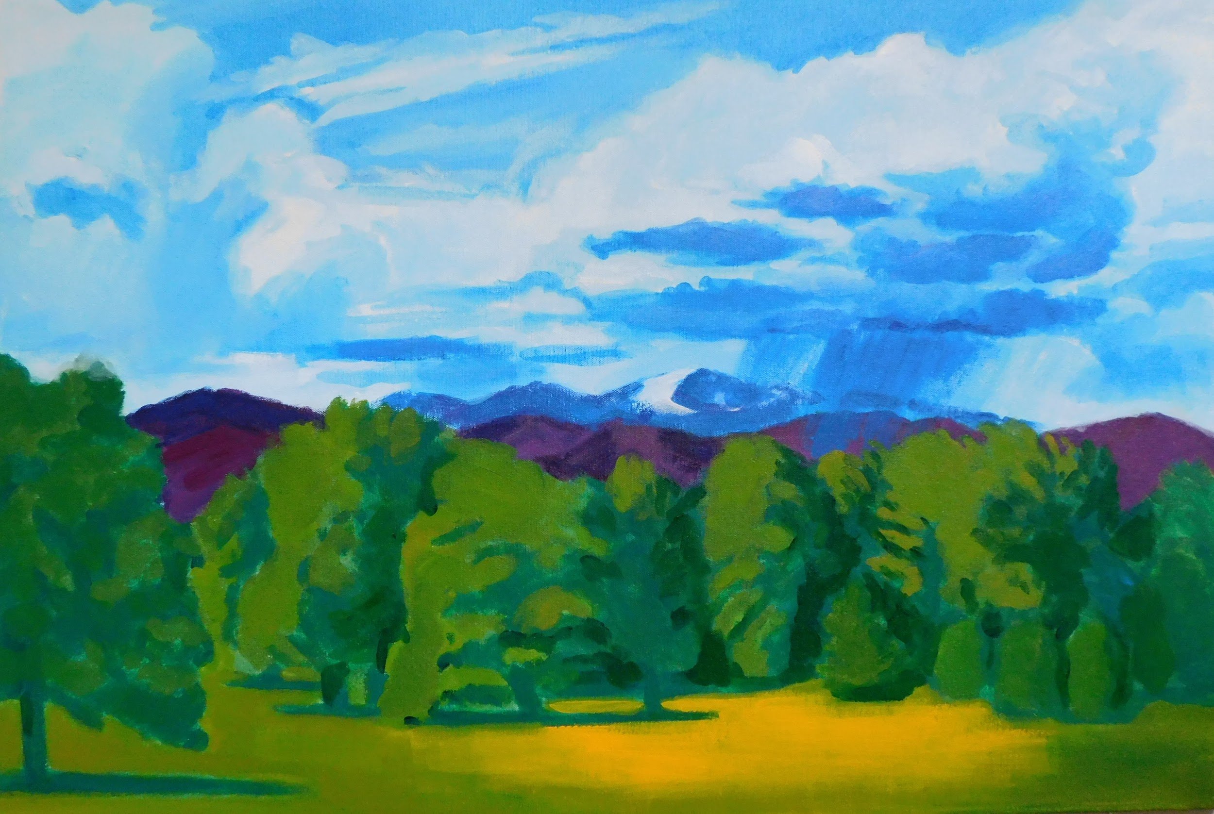 cheesman-park-plein-air-painting-drawing-trees-denver-colorado-micah-shull-art