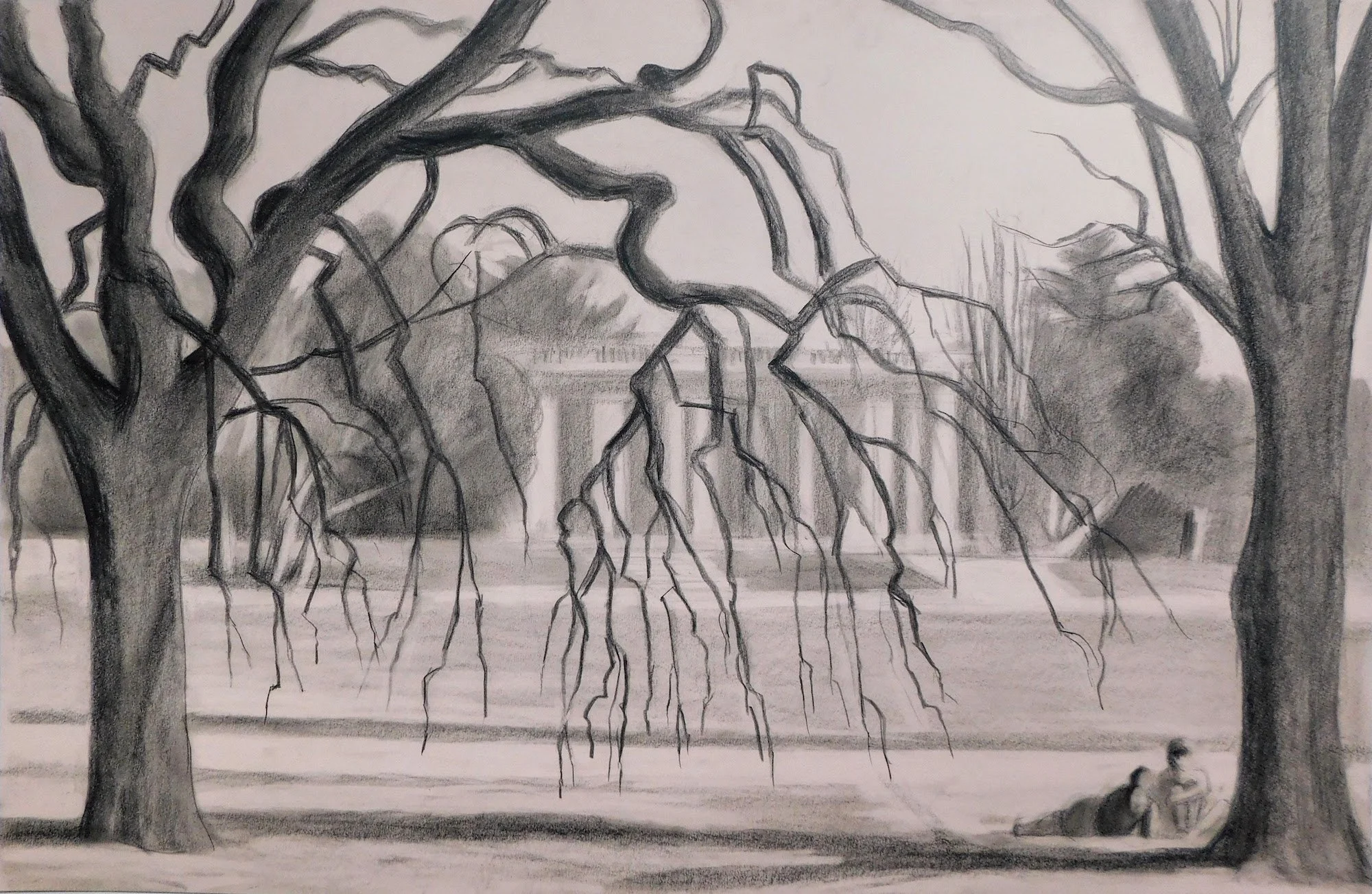 cheesman-park-plein-air-painting-drawing-trees-denver-colorado-micah-shull-art