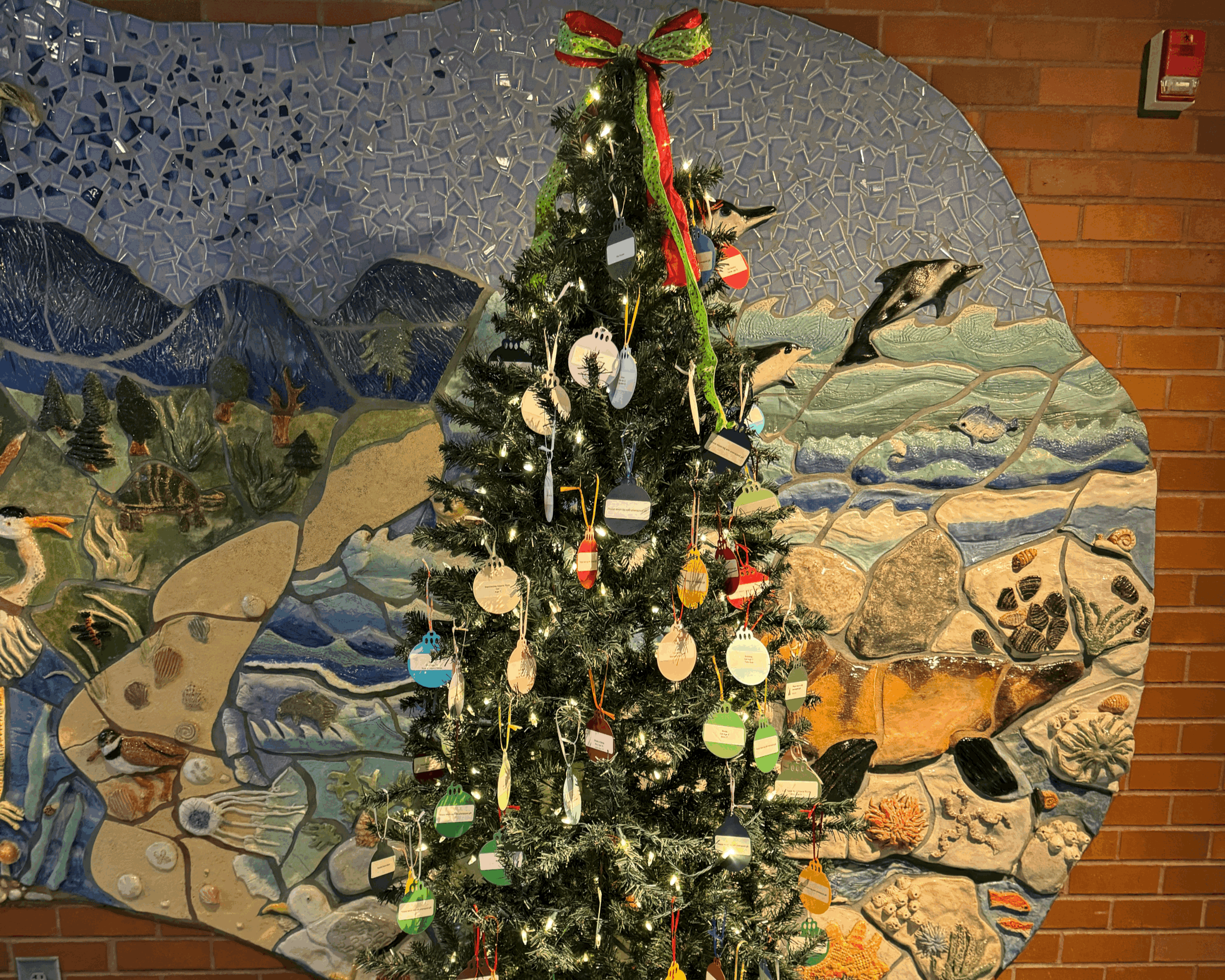 Last Day of Giving Tree