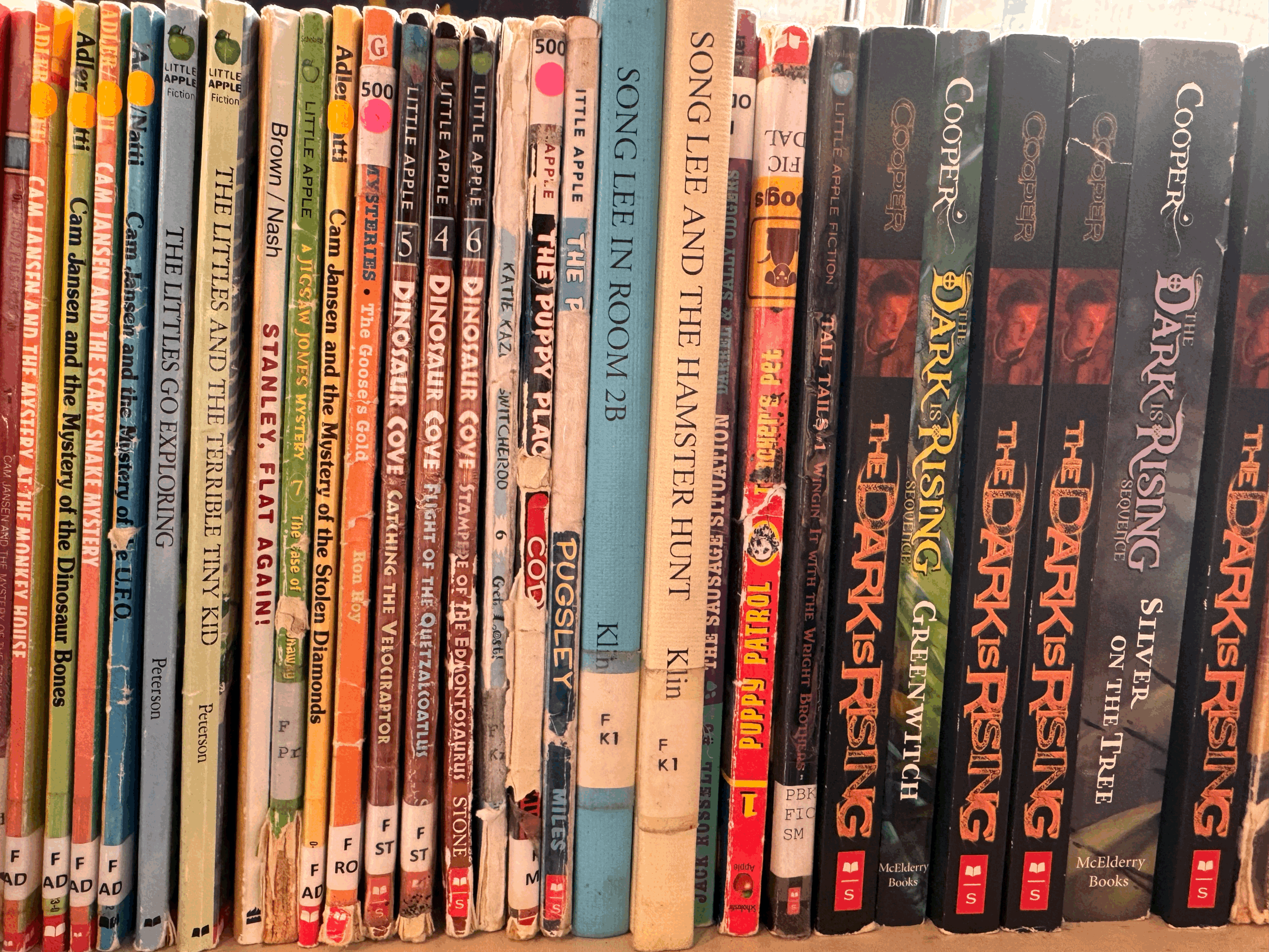 Used Book Sale