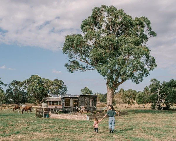 Wattle Bank farm; where horses, nature and slower living come together