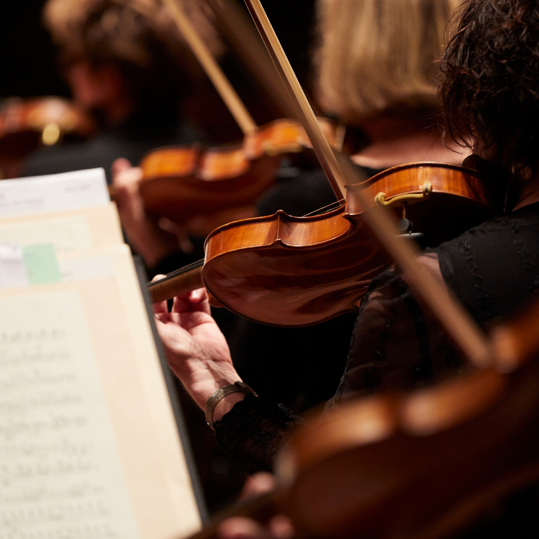MSO - Chamber Orchestra