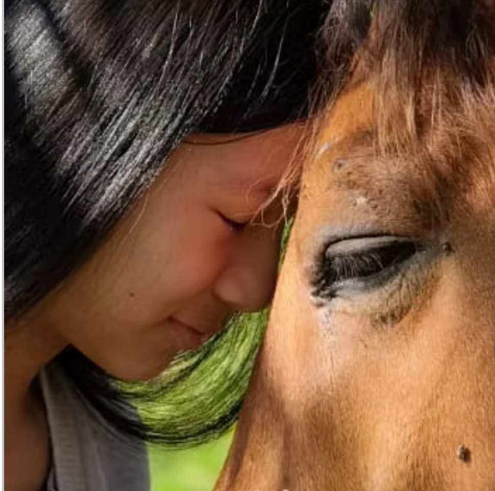 Guided Horse Meditation