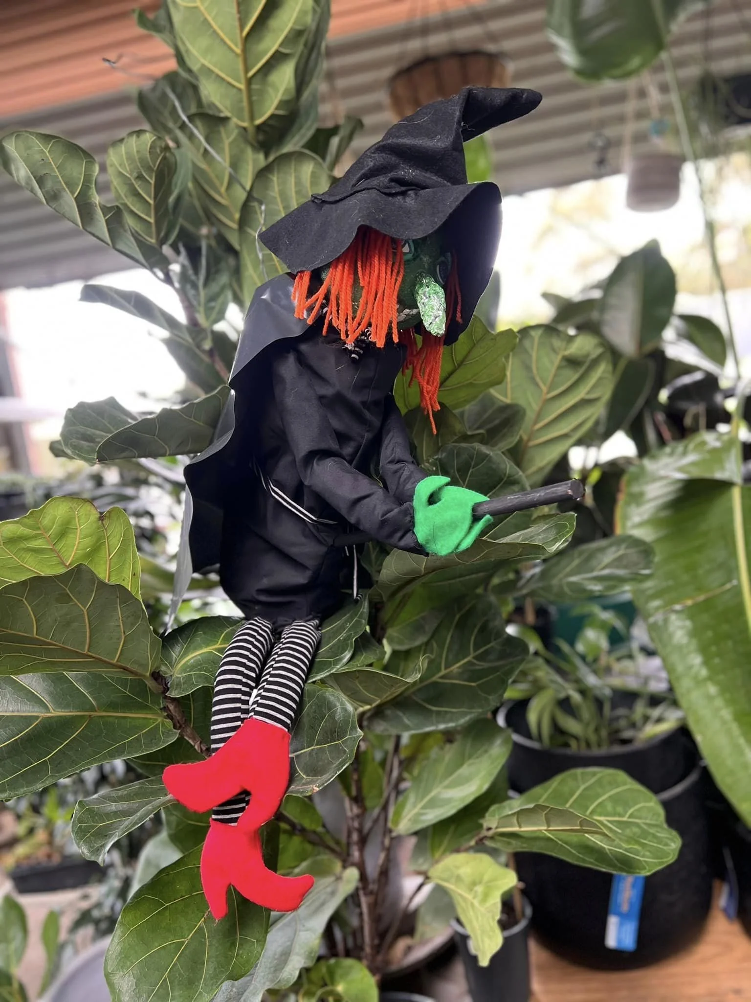 witchgreenerlife.jpeg