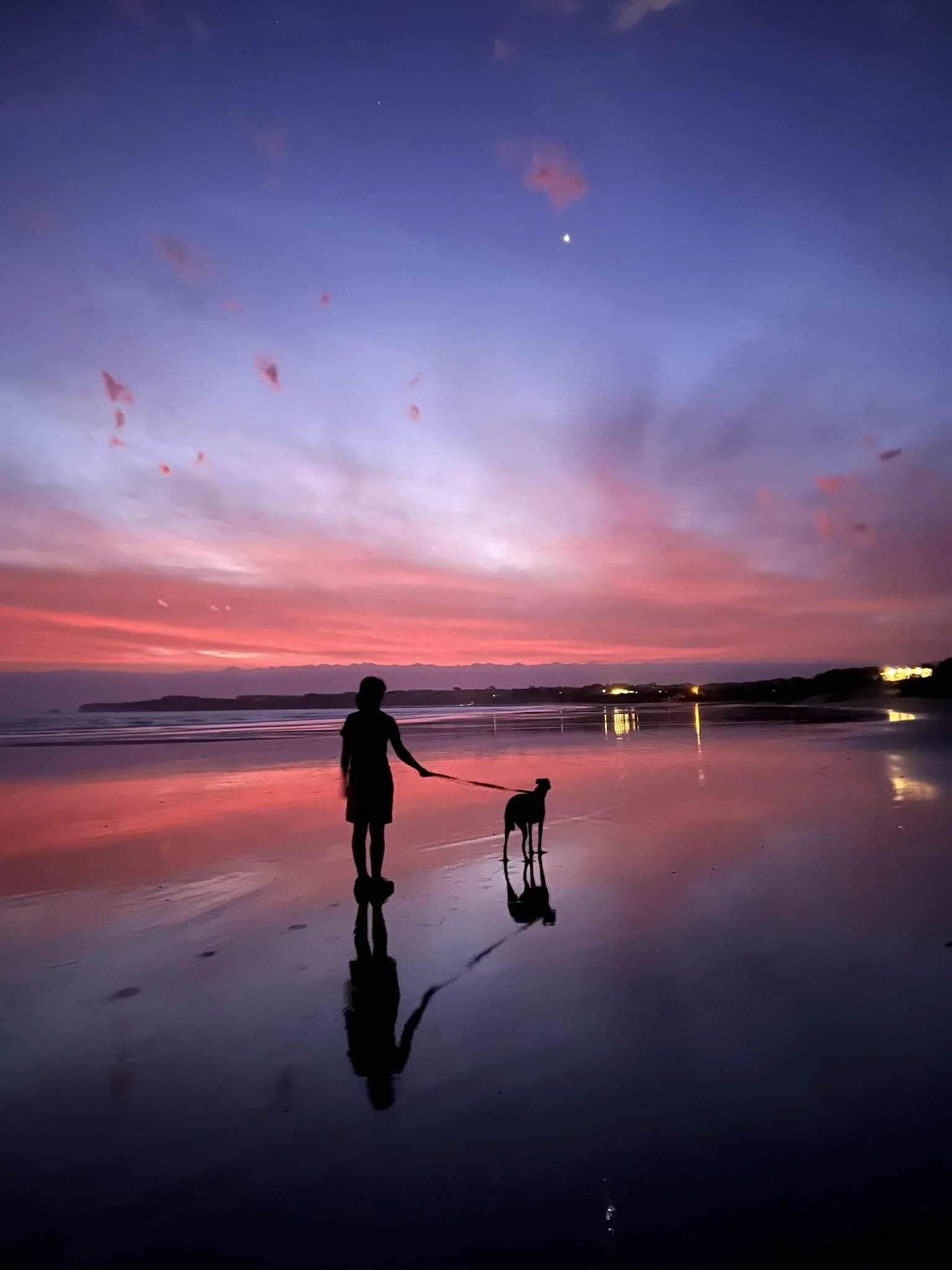 Travelling with Pets in Inverloch? 🐾