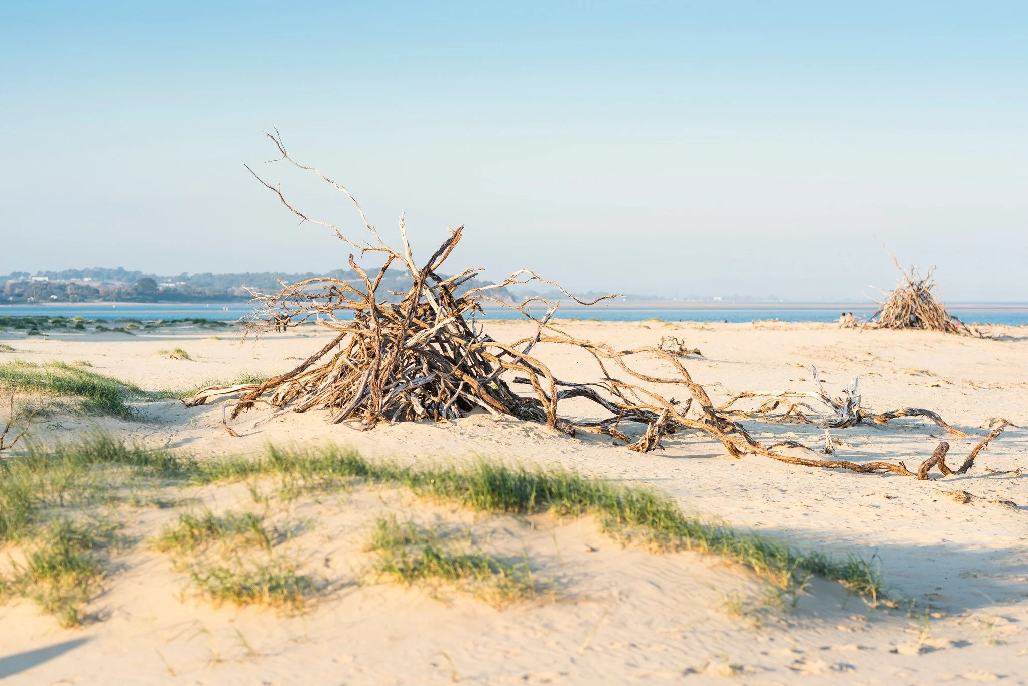 🌿 Last-Minute Cup Weekend Escapes  Stunning Inverloch Stays Still Available!