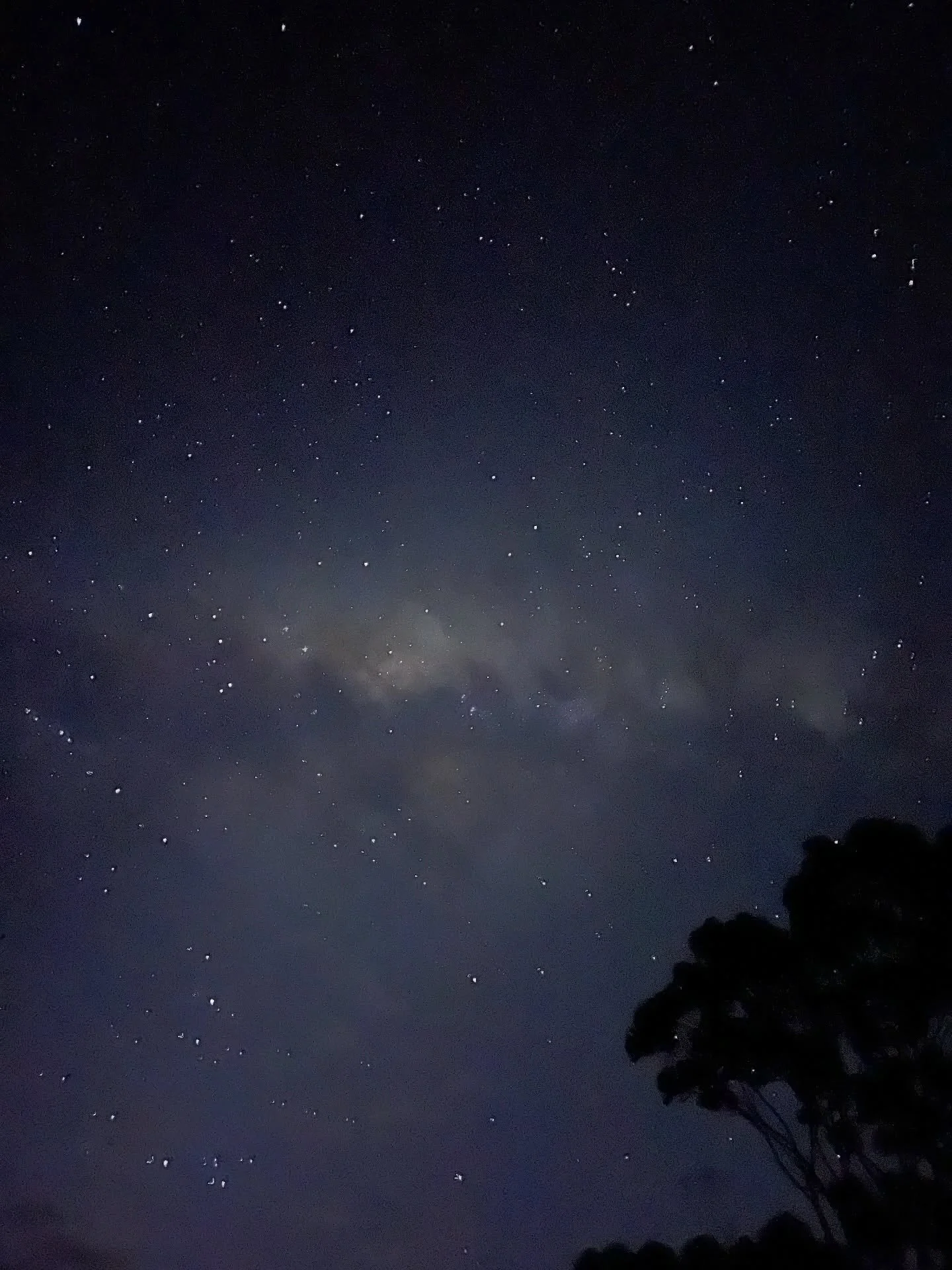 Inverloch night skies ….. where do you love to sit and star gaze? 
Step outside and look at the skies ✨
#visitinverloch #inverloch #nightskies #stargazing💫