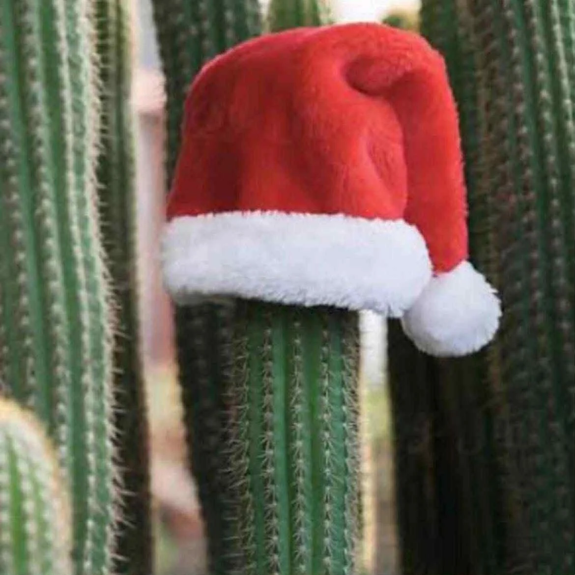 Greener Life Inverloch