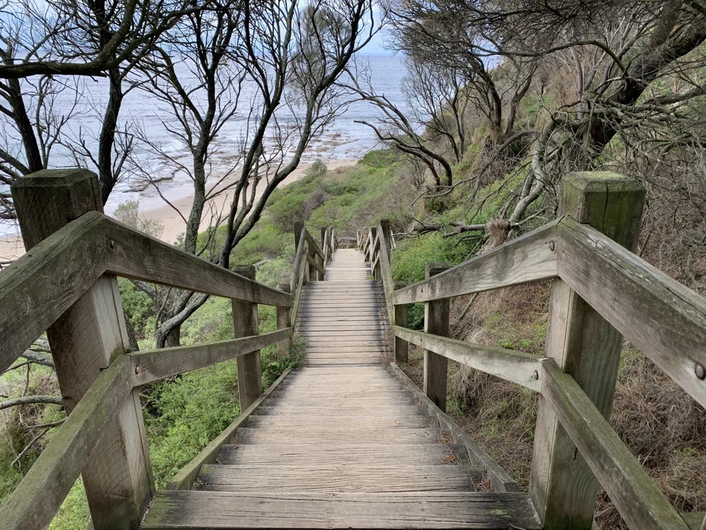 thumbnail_Shack Bay Staircase.jpeg