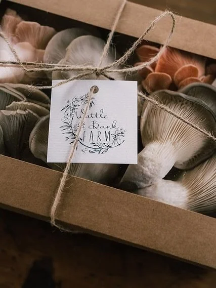 wattlebank_farm_mushroomsboxed.jpeg