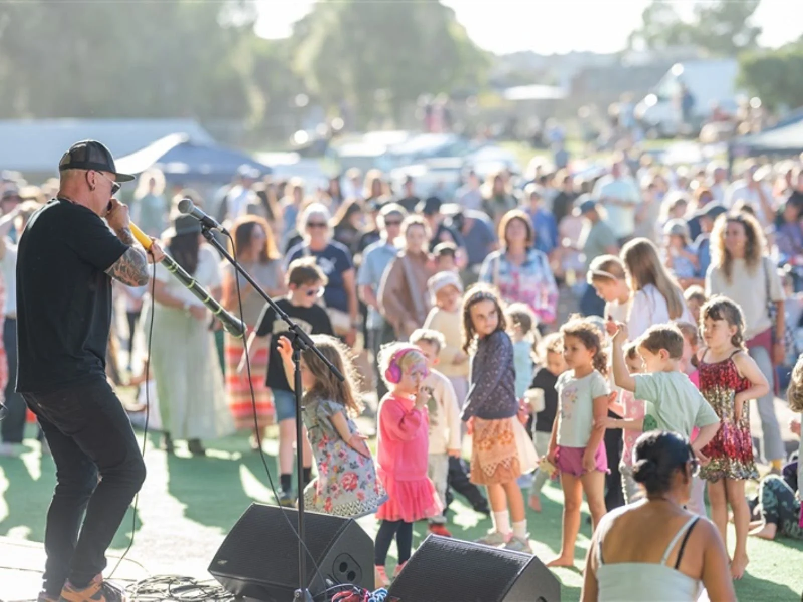 2026festival header.jpg