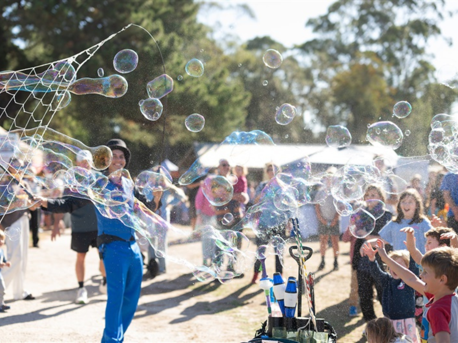 2026festival header1.png