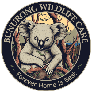 Know the Cause Save the Claws