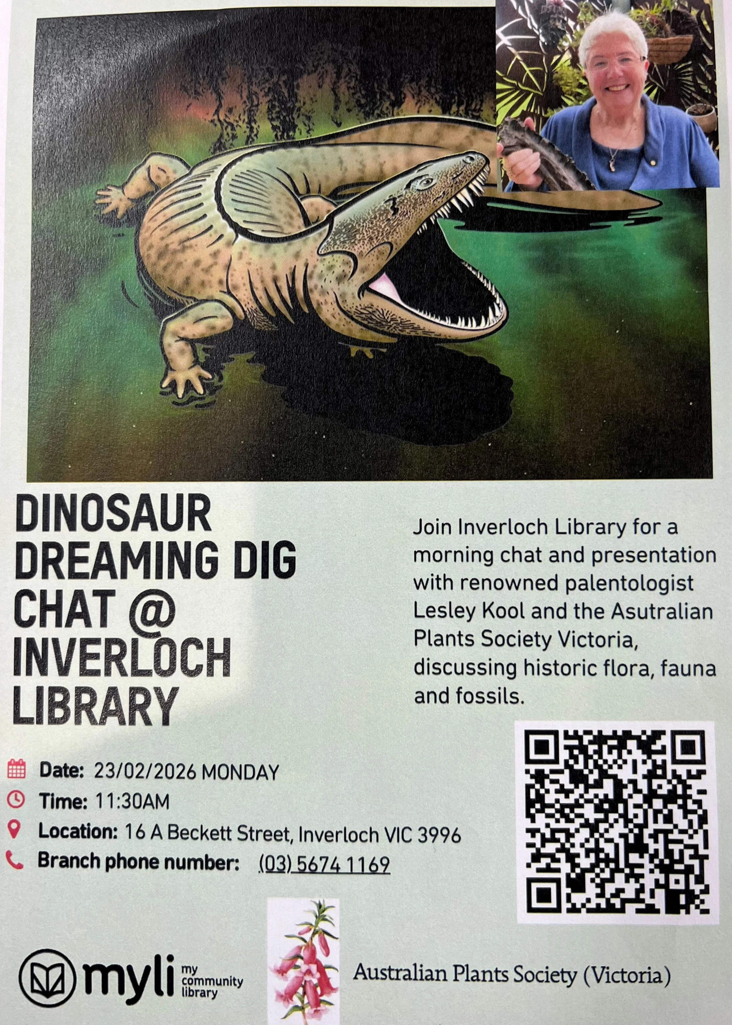 Dinosaur Dreaming Dig Chat 