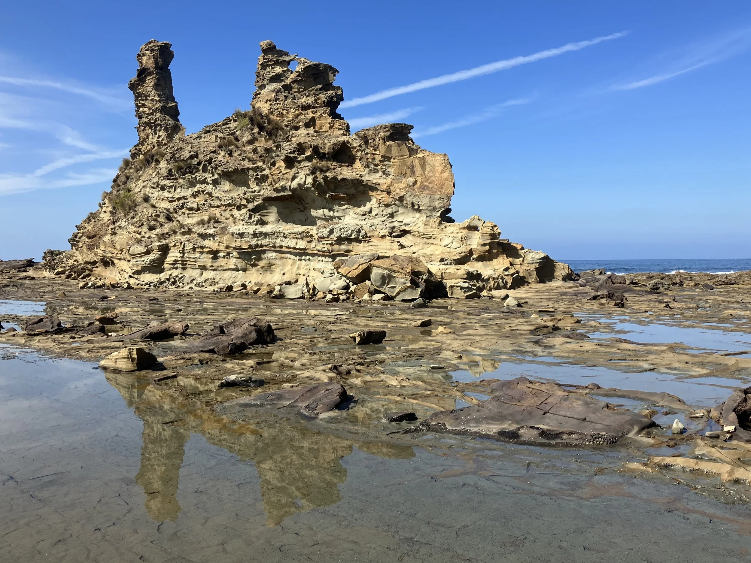 Dinosaur Discovery Eagles Nest