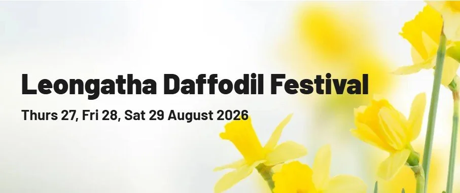 Daffodil Festival