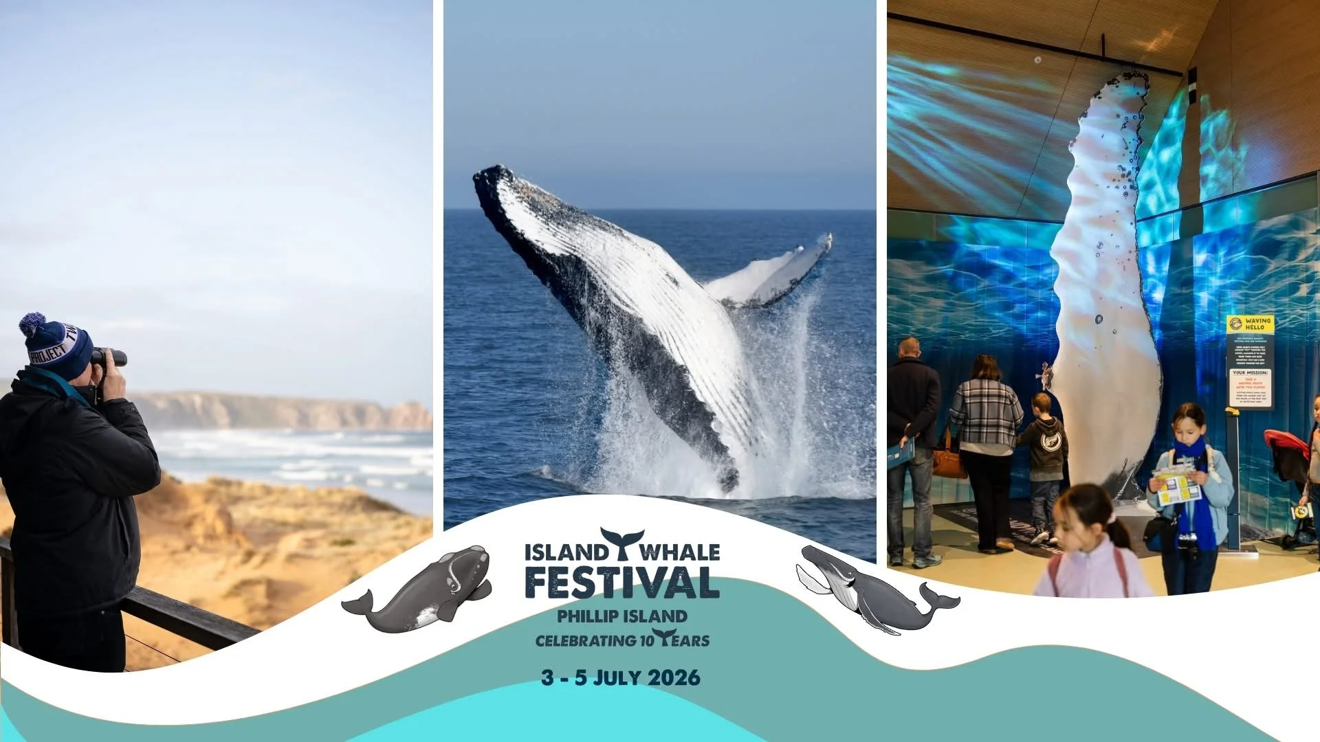 Island Whale Festival