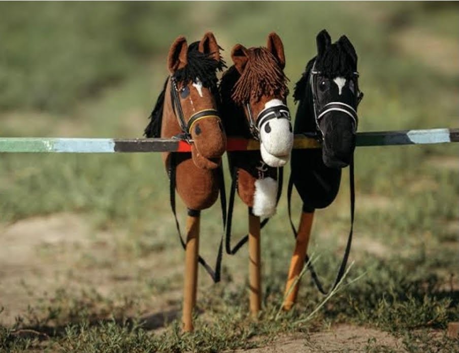Hobbyhorse jumping