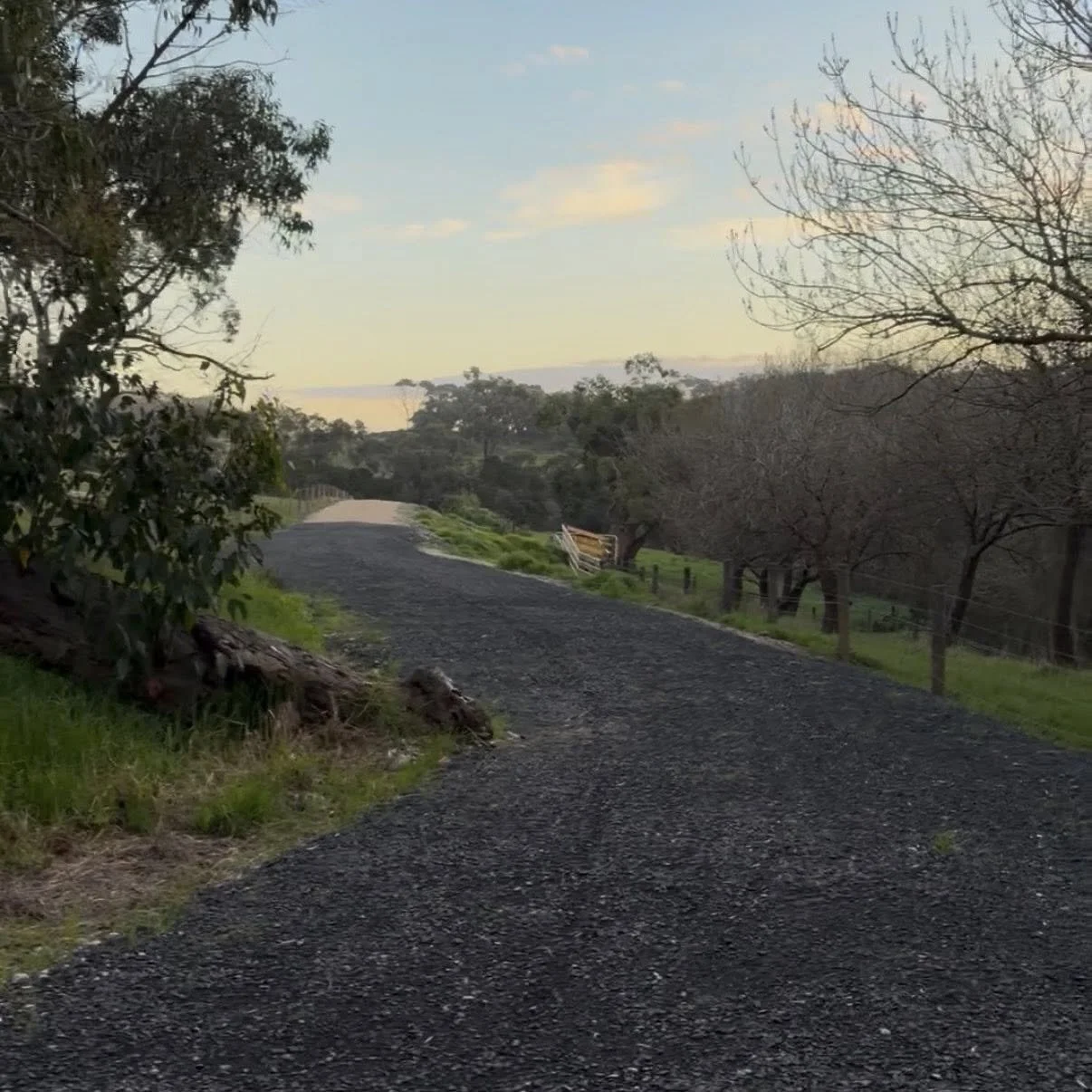 trail_bitumen.jpeg
