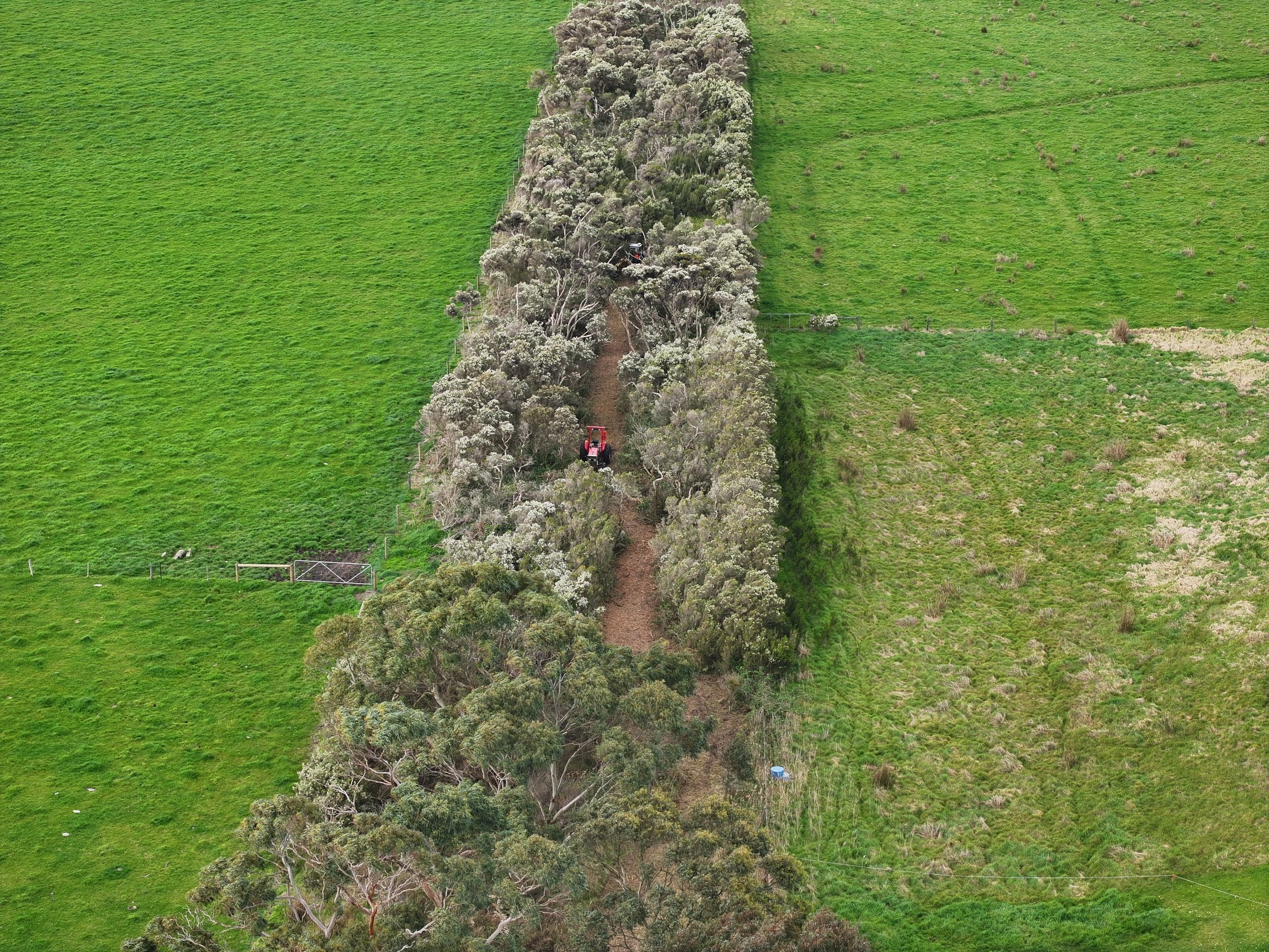 trail_aerial2.jpeg