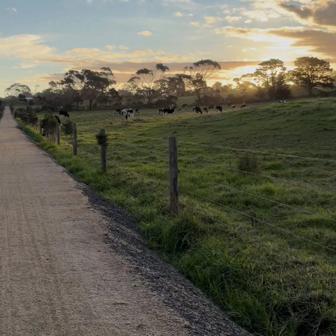 trail_sunset.jpeg
