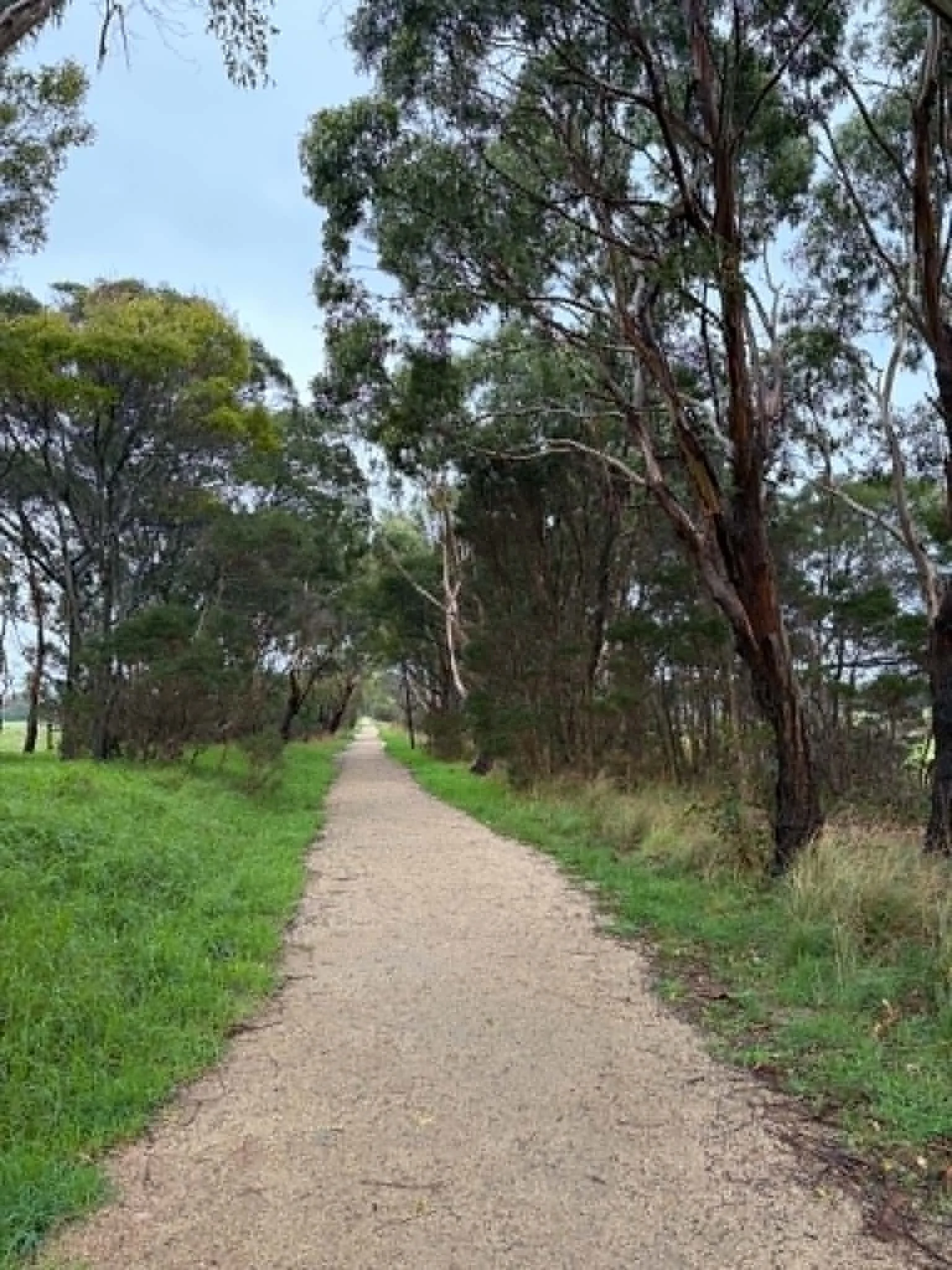 Inverloch_wonthaggi_trail_wonthaggi_side.jpeg
