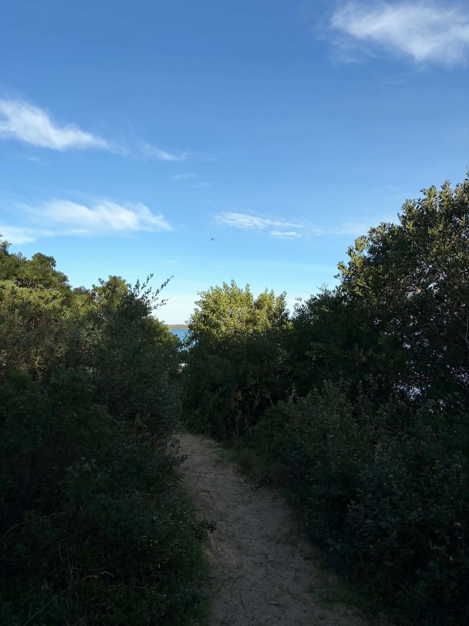 Ingenia_holidays_Inverloch_foreshore_track.jpeg