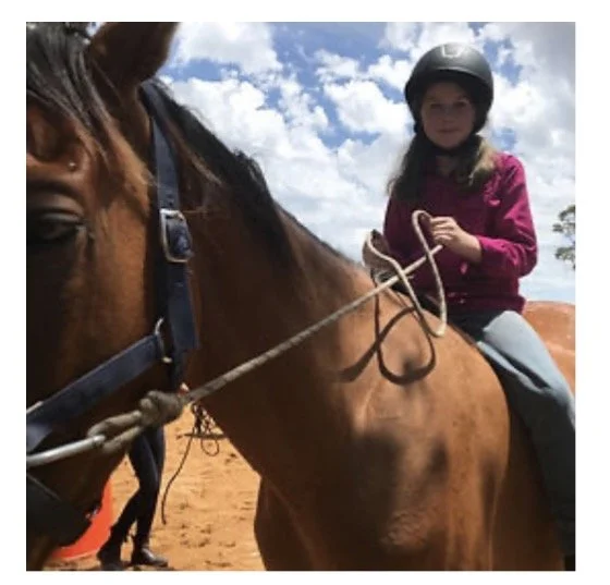 Horse Clinics (beginners) 