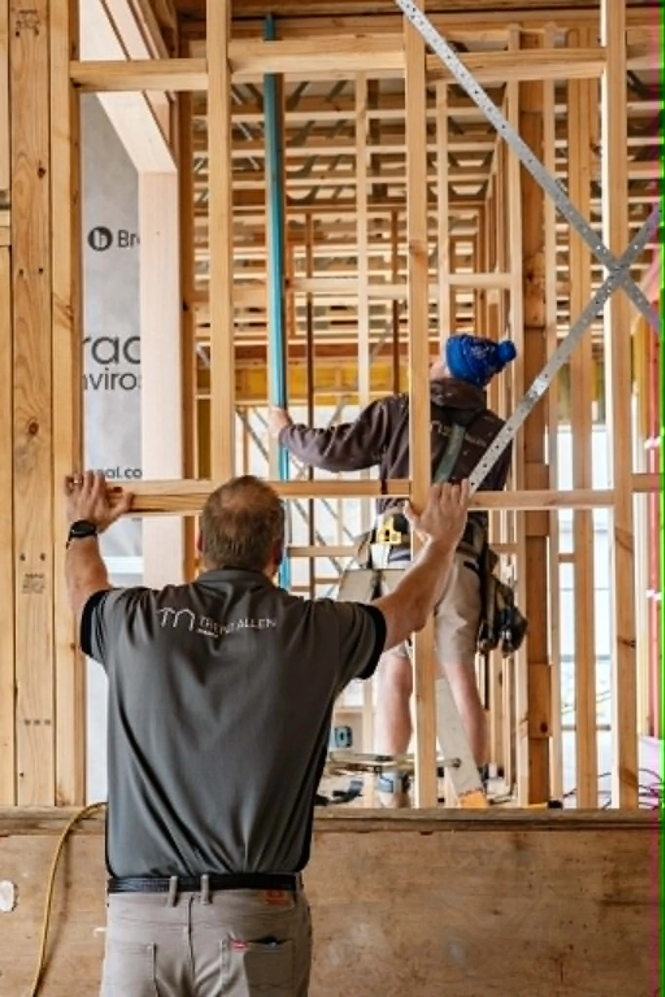 trent_allen_building_frame.jpeg