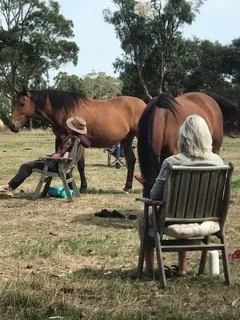 wattle_bank_farm_meditation.jpeg