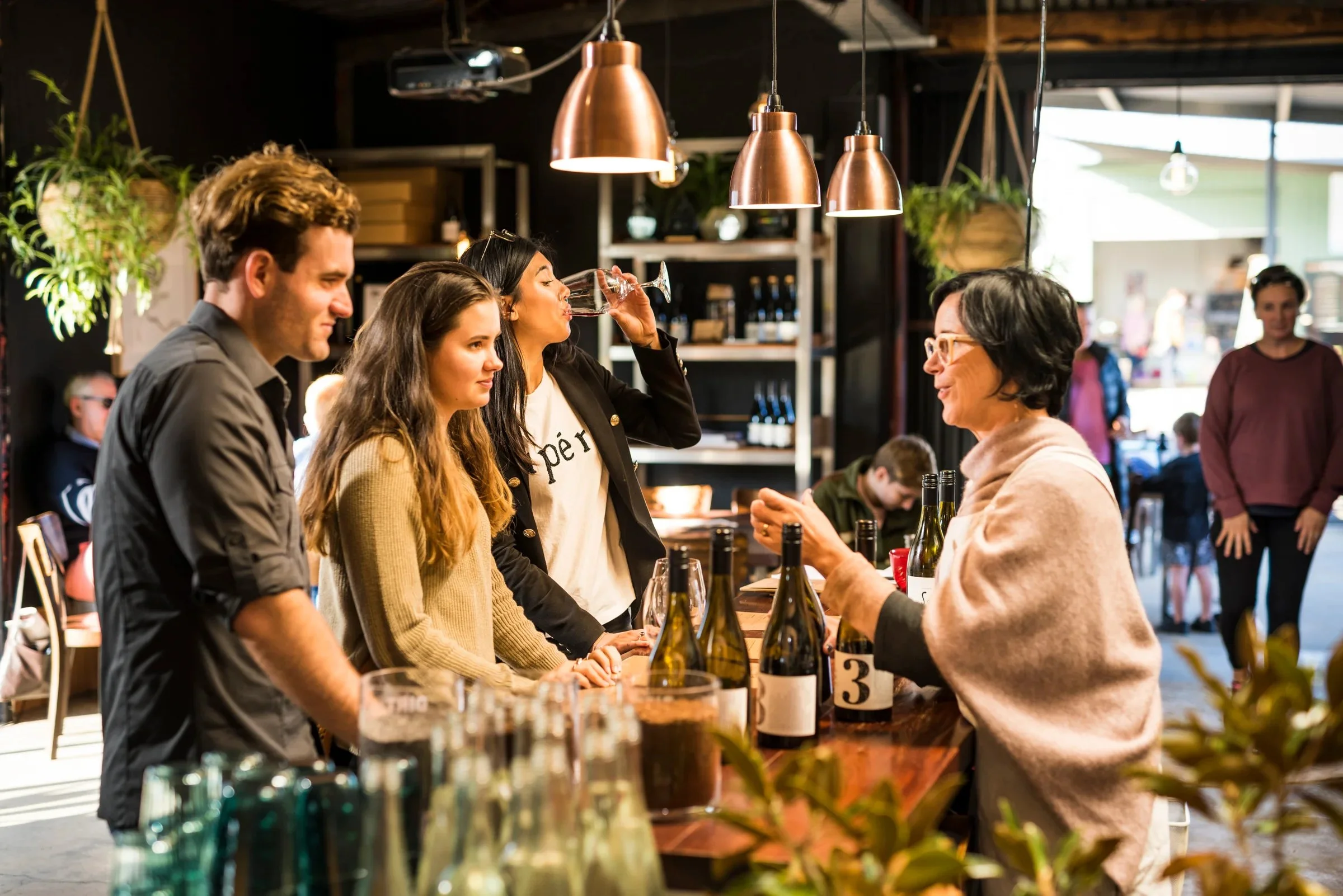 People enjoying a wine tasting at a bar with hanging plants and ambient lighting.