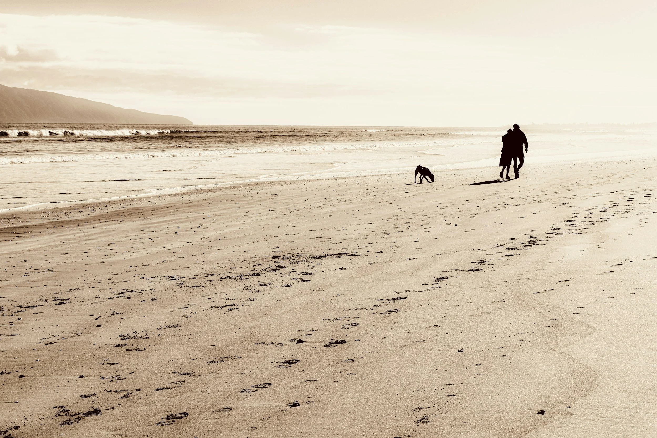 Understanding Neurodiversity in Families: Insights from our interview with Jessica Batres