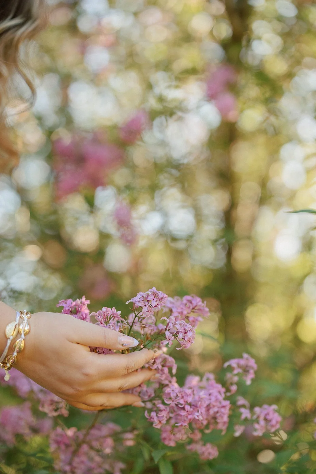 A woman's hand holding pink flowers in a garden with blurred green and pink foliage background.
