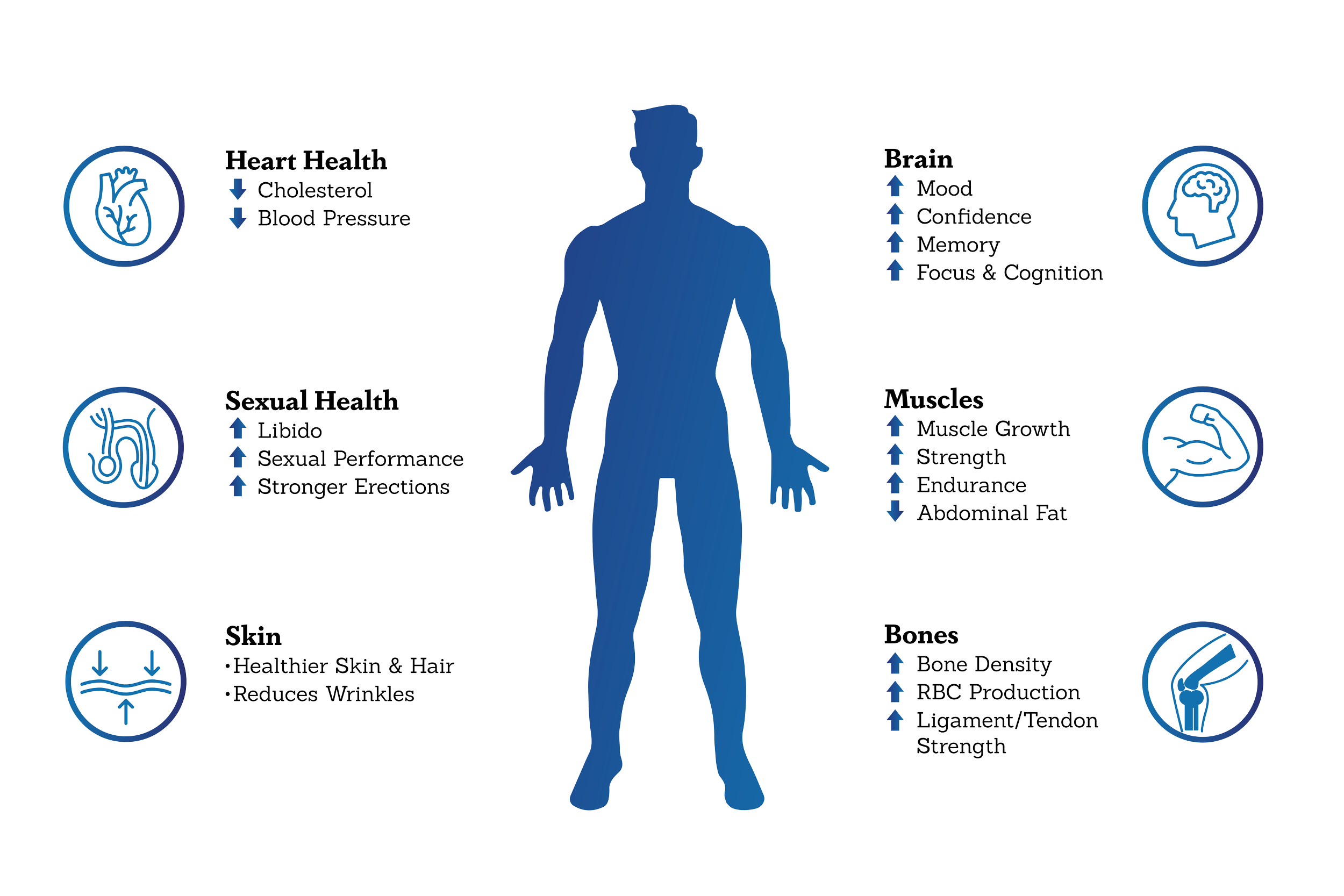 Lucidity Health: Testosterone Replacement Therapy (TRT) for Men