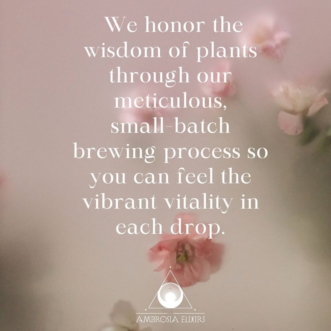 From seed to sip, we nurture each elixir through an artisanal journey that preserves the integrity of our healing herbs and flowers. A conscious process for a conscious product.

Our elixirs capture the essence of plants through traditional technique